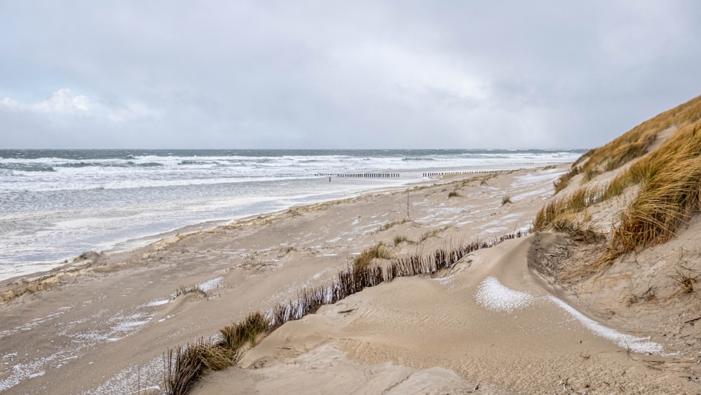 brown sand beach during daytime