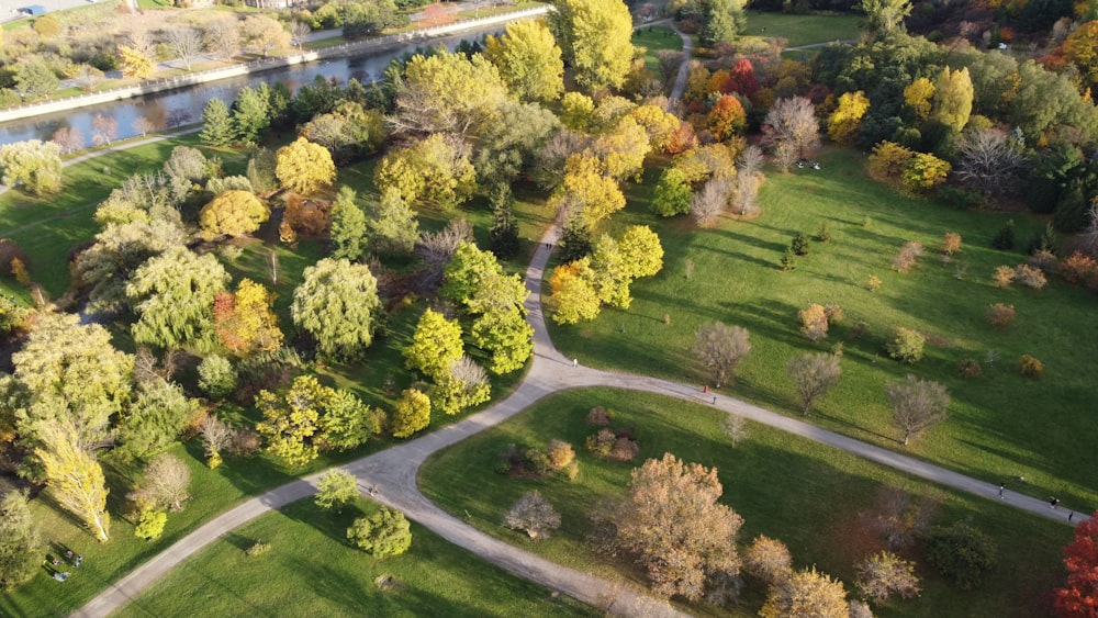 arbres verts sur le champ d’herbe verte pendant la journée