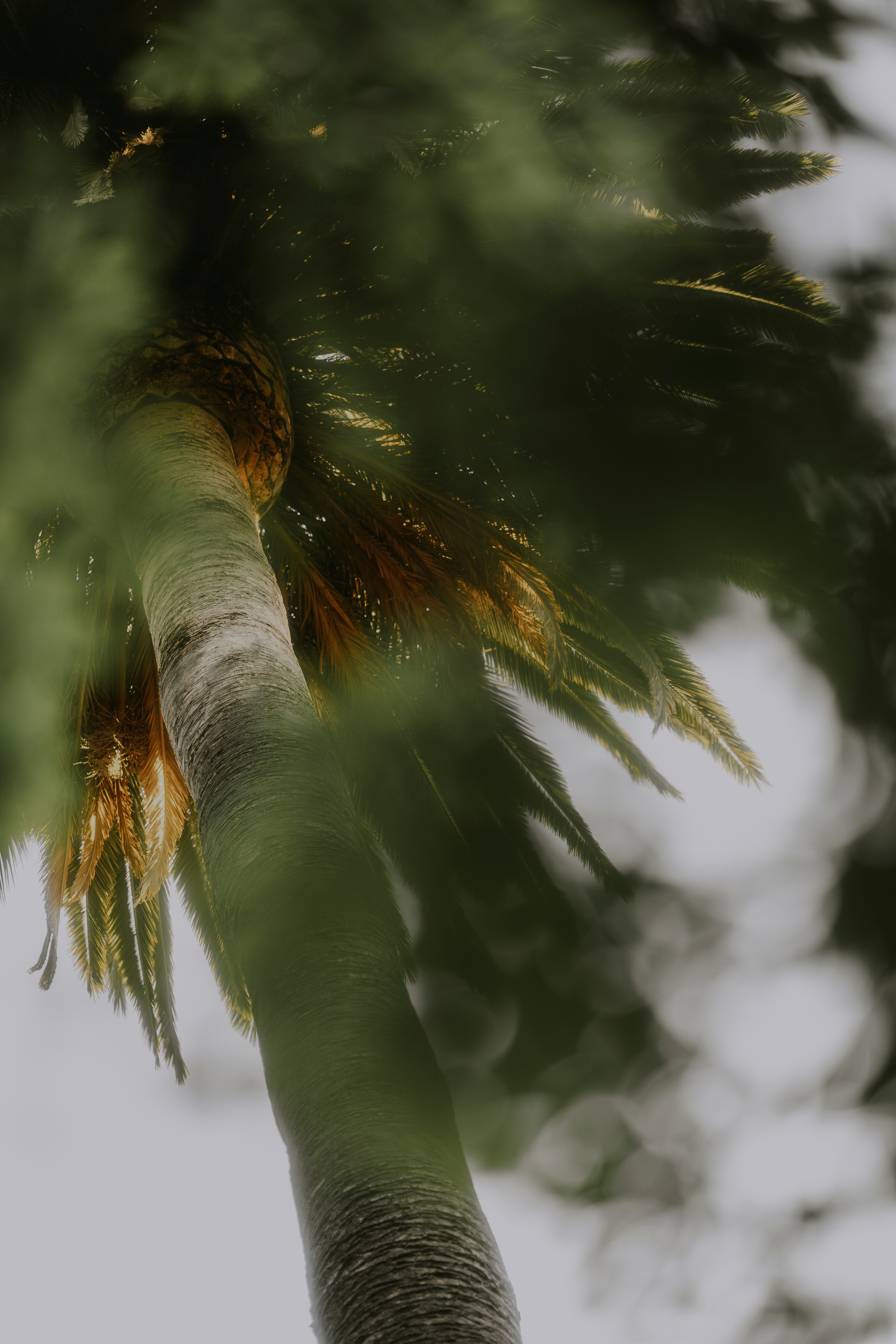 Photo by kalaniparker