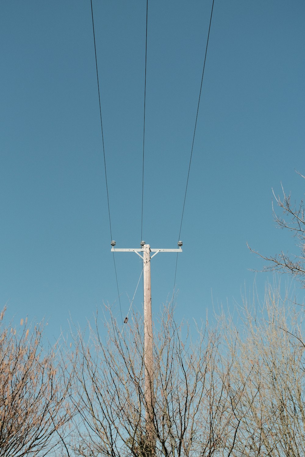 gray electric post under blue sky during daytime