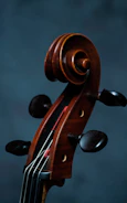 Close-up of a cello’s wooden body with deep brown hues and subtle light reflections, animated with parallax on black.