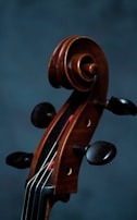 Close-up of a cello’s rich wood grain and bow in motion.