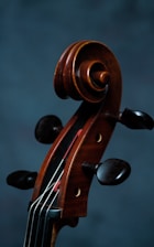A close-up view of a cello's scroll and pegbox, showcasing the rich wood grain and elegant curves against a dark, muted background.