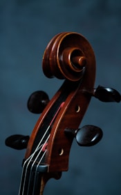 A close-up view of a cello's scroll and pegbox, showcasing the rich wood grain and elegant curves against a dark, muted background.