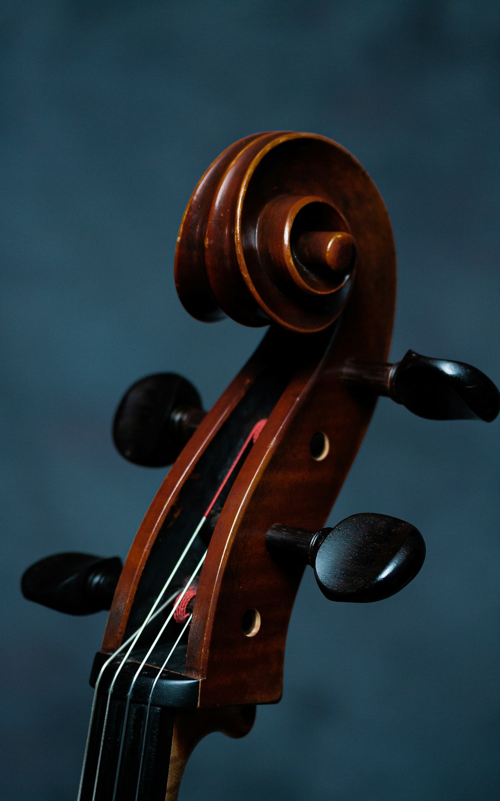 음표가있는 갈색 바이올린