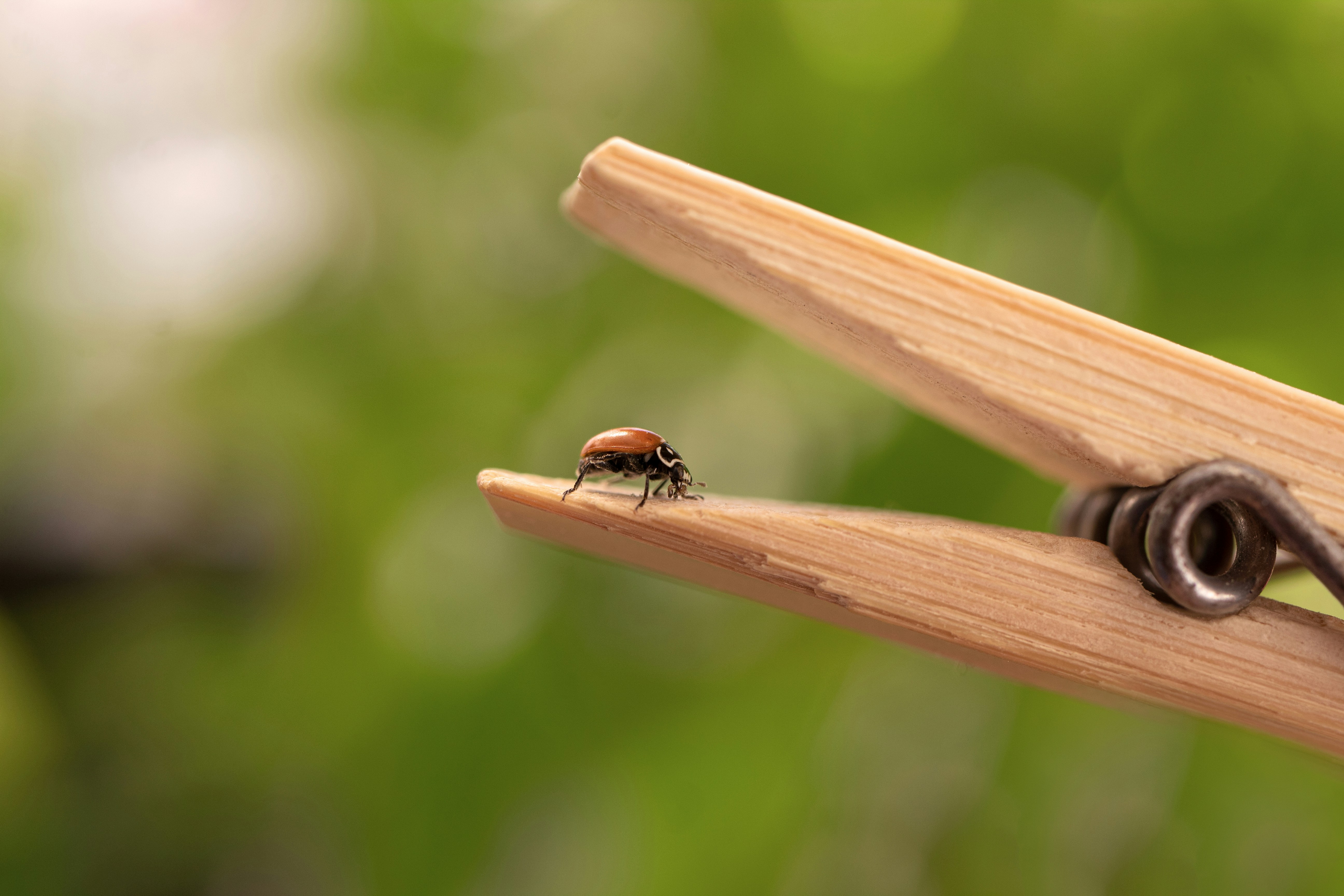 Fixing Bugs Effectively: Lessons from Samsung's Galaxy Watch