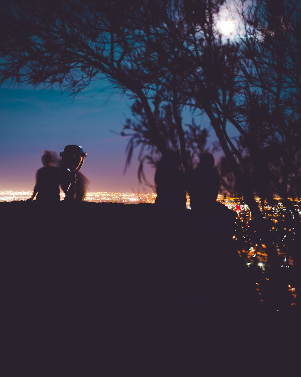 silhouette of people standing near tree during sunset