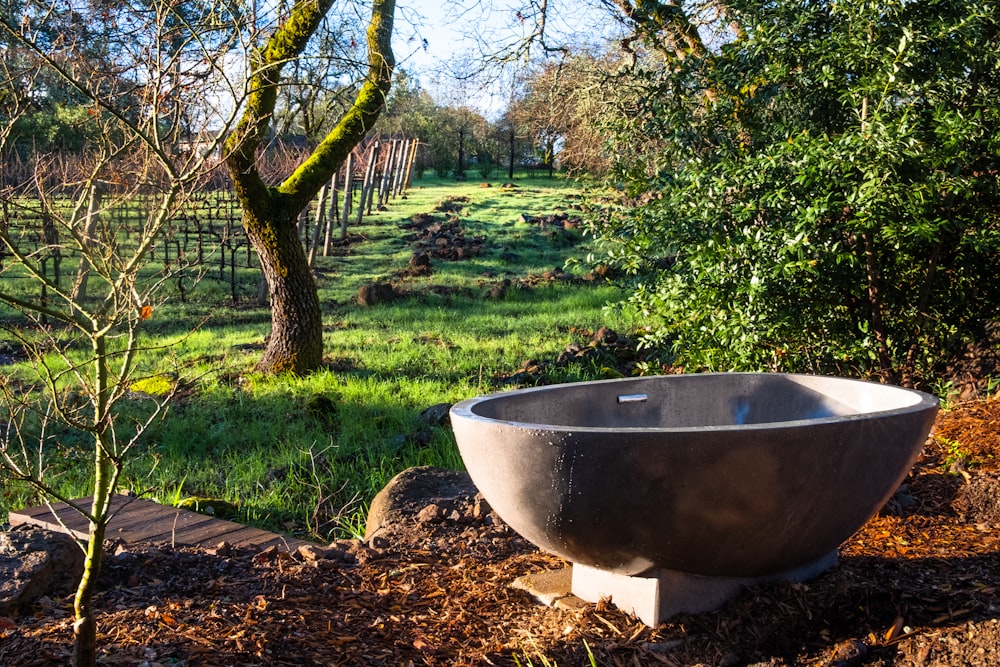 Arbres verts et champ d’herbe verte