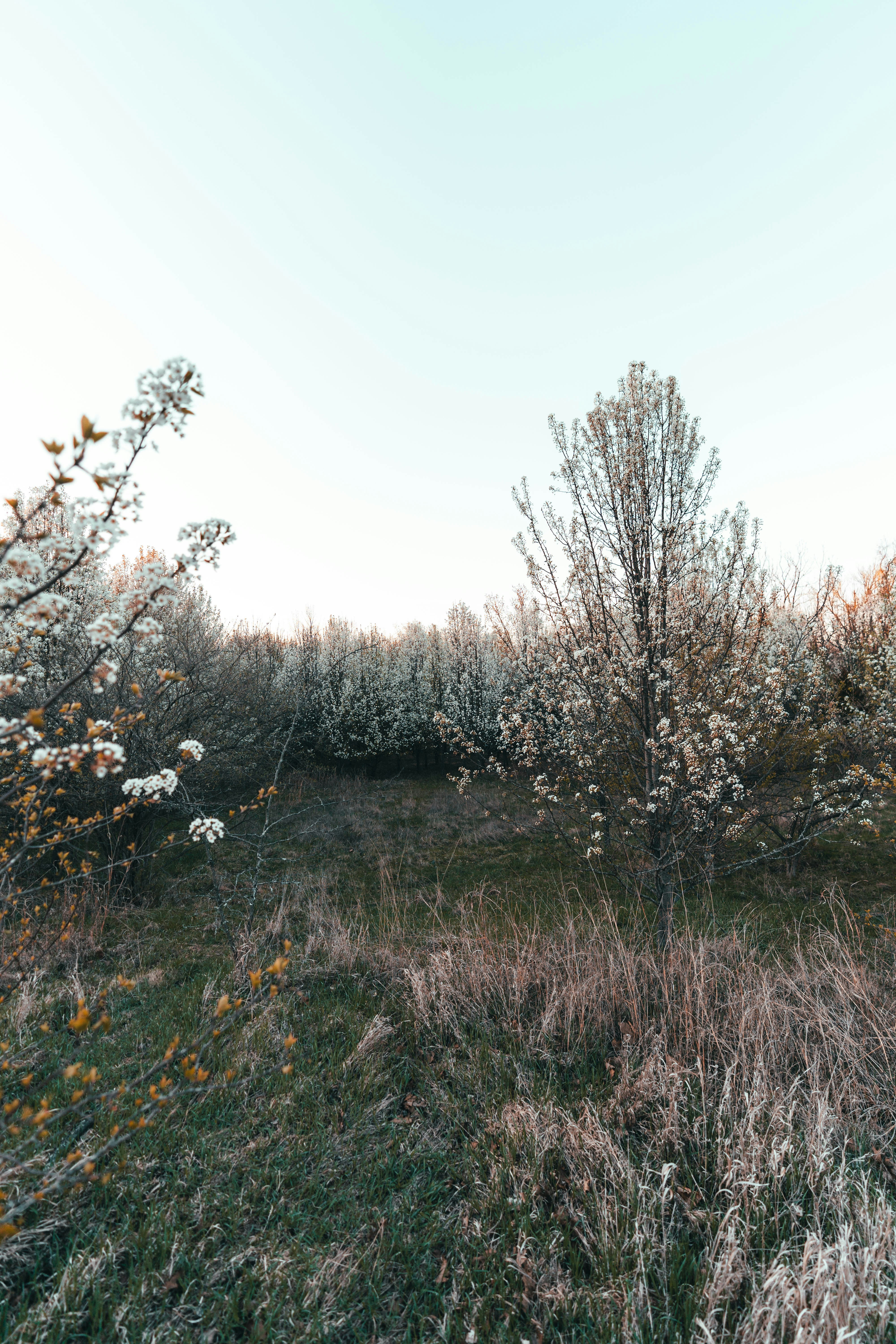 Photo by haroldwainwright