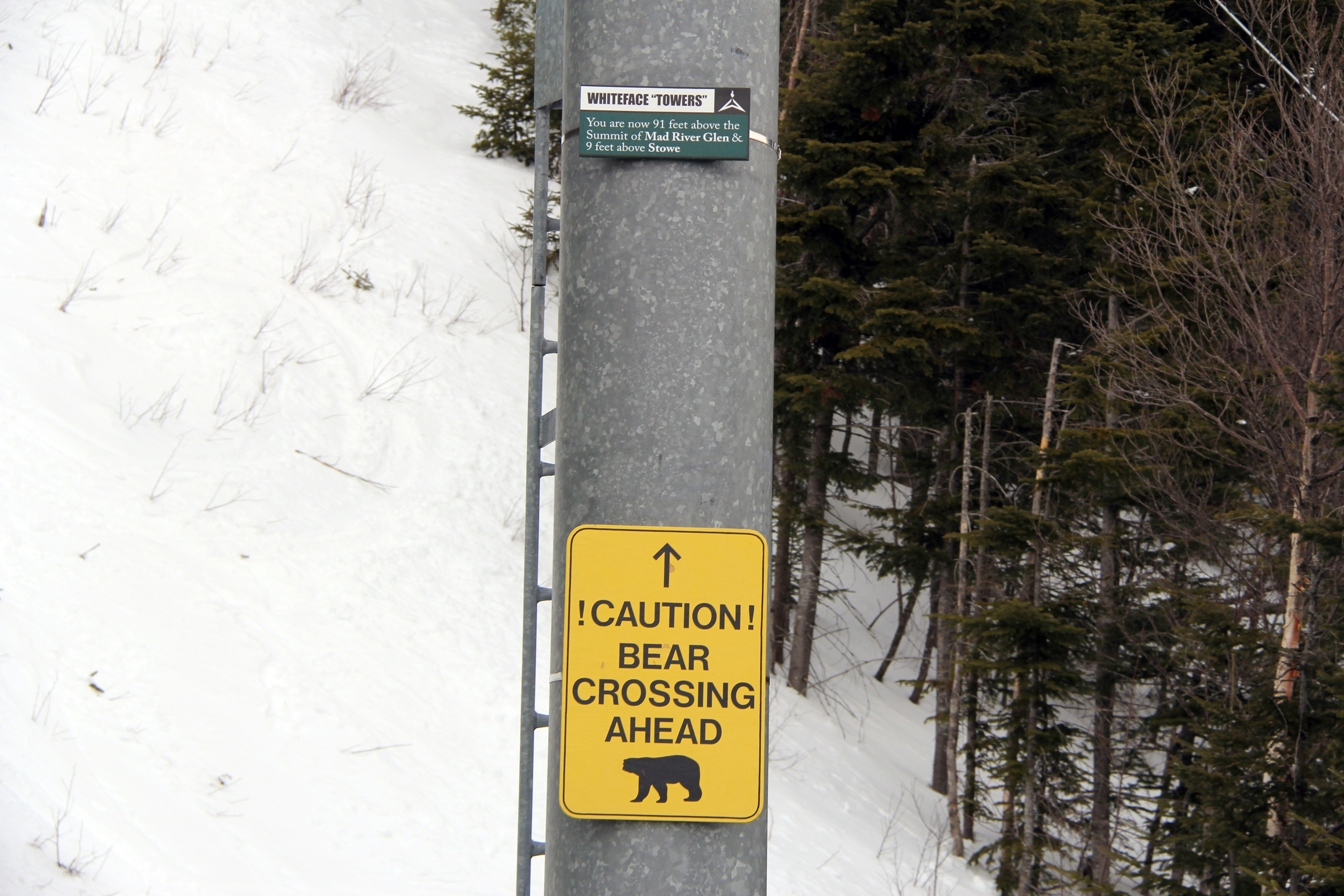 Indefinite Closure of Black Bear Pass: A Cautionary Tale of Winter Hazards