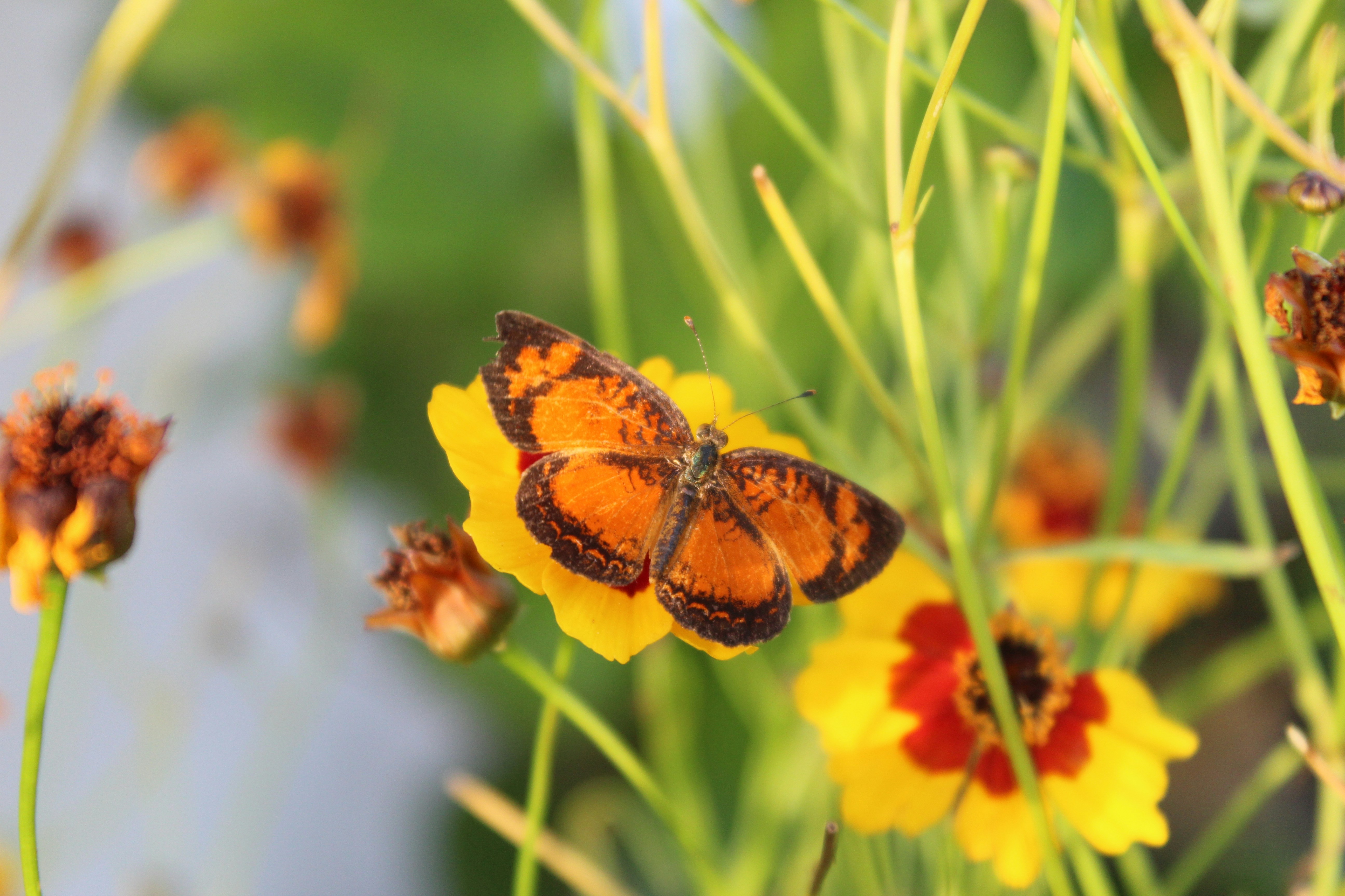 Paramaribo, Suriname cover image