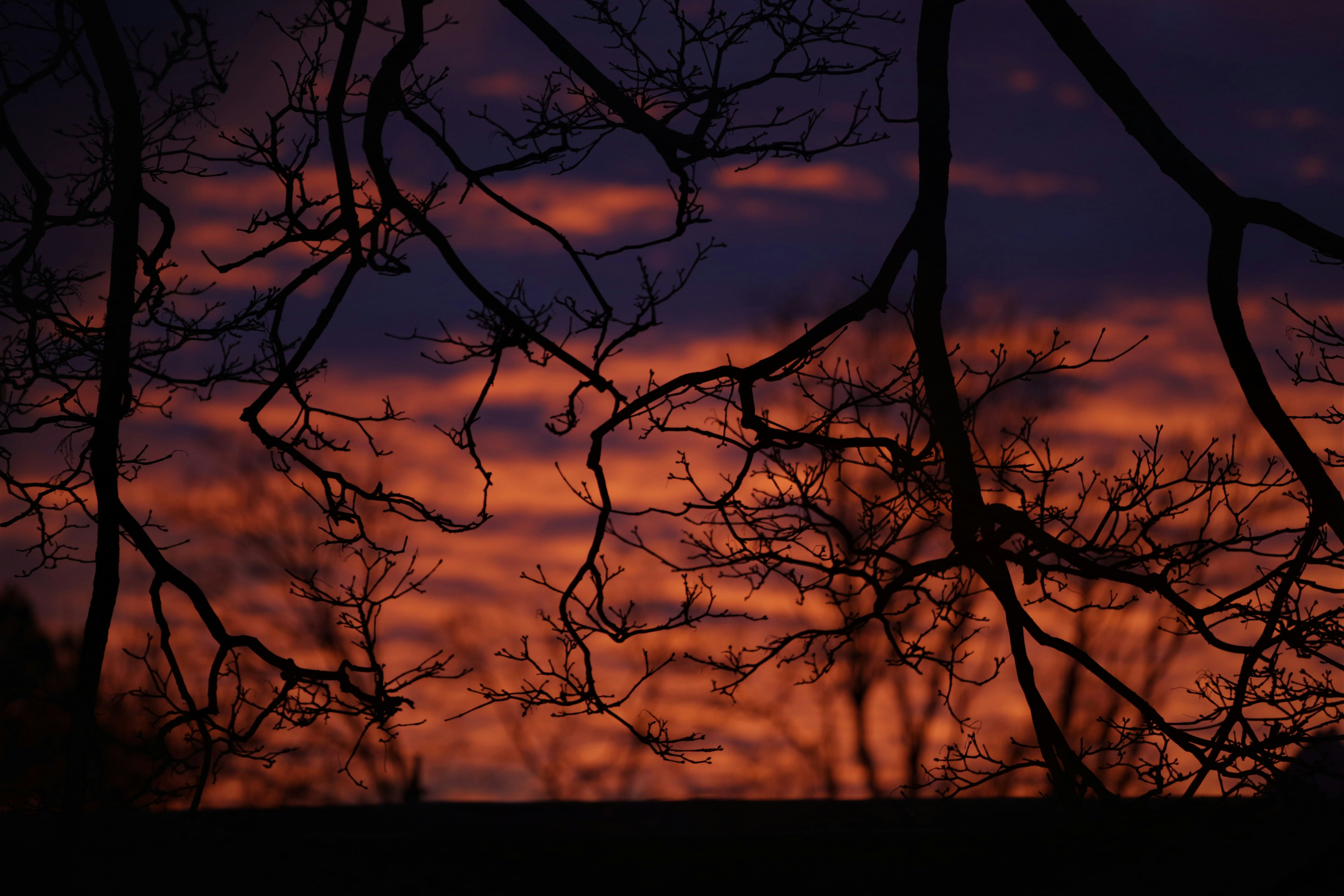 Photo by capturedbycece