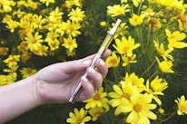 A hand is holding a sleek vape pen against a backdrop of vibrant yellow flowers in full bloom. The contrast between the metal and glass of the pen and the natural setting creates an interesting juxtaposition.