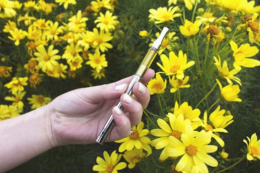 A hand is holding a sleek vape pen against a backdrop of vibrant yellow flowers in full bloom. The contrast between the metal and glass of the pen and the natural setting creates an interesting juxtaposition.