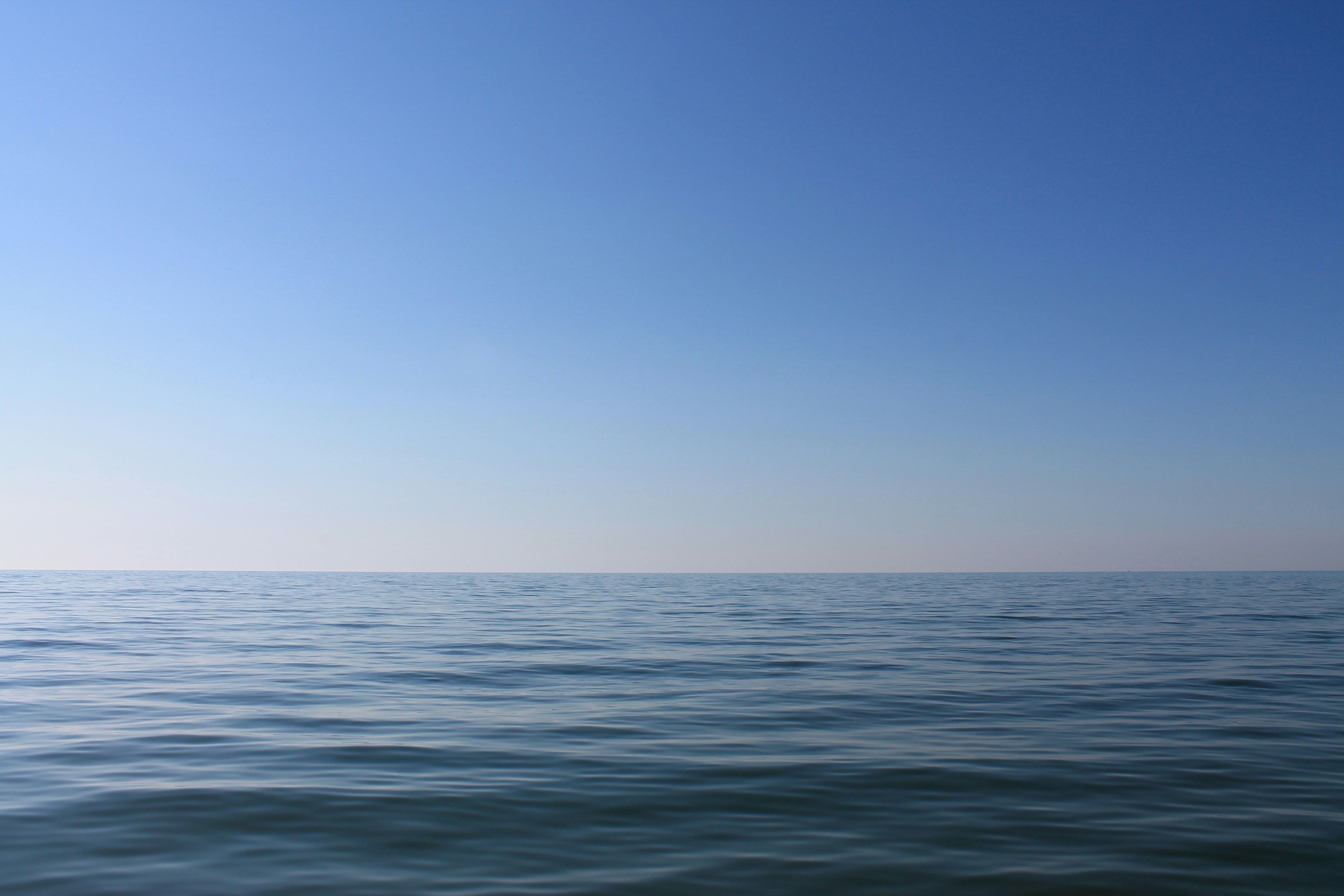 Photo by tashguimond