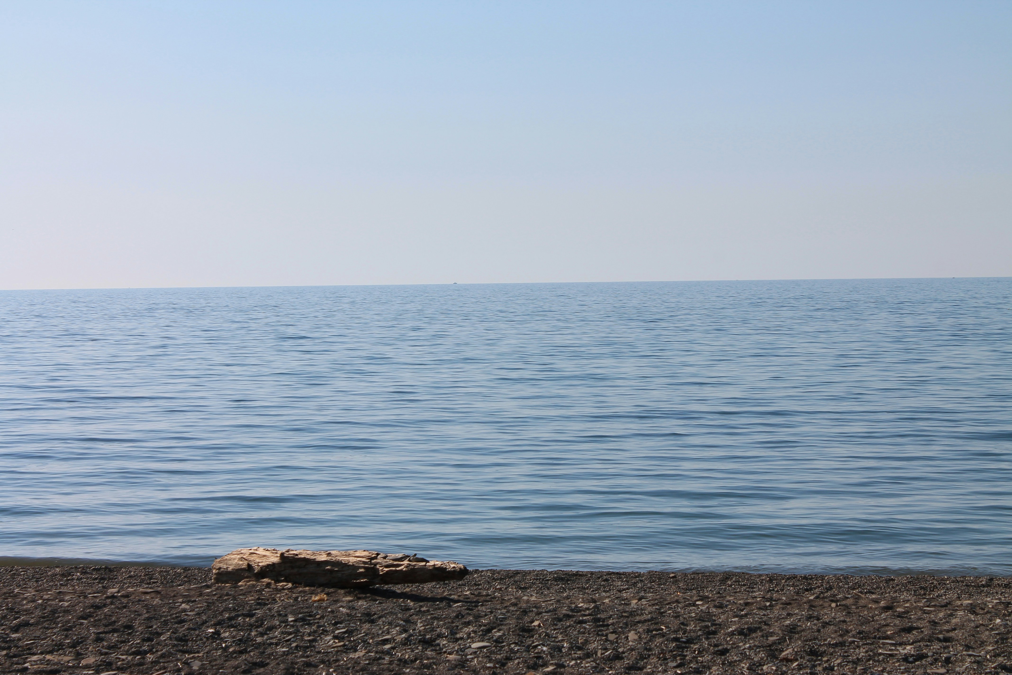 Photo by tashguimond