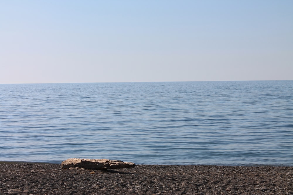 Rocce marroni in riva al mare durante il giorno