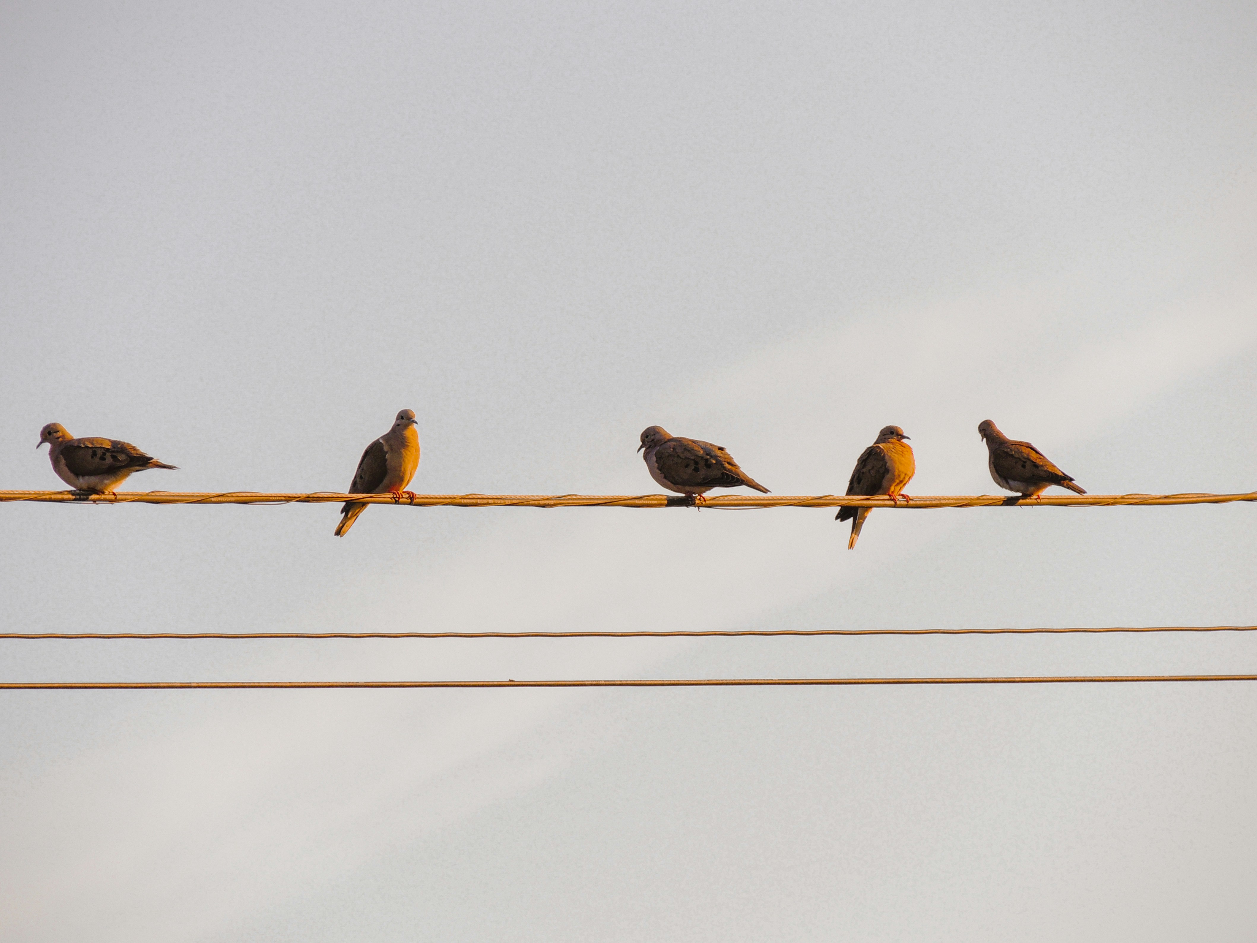 Photo by lara_corviello