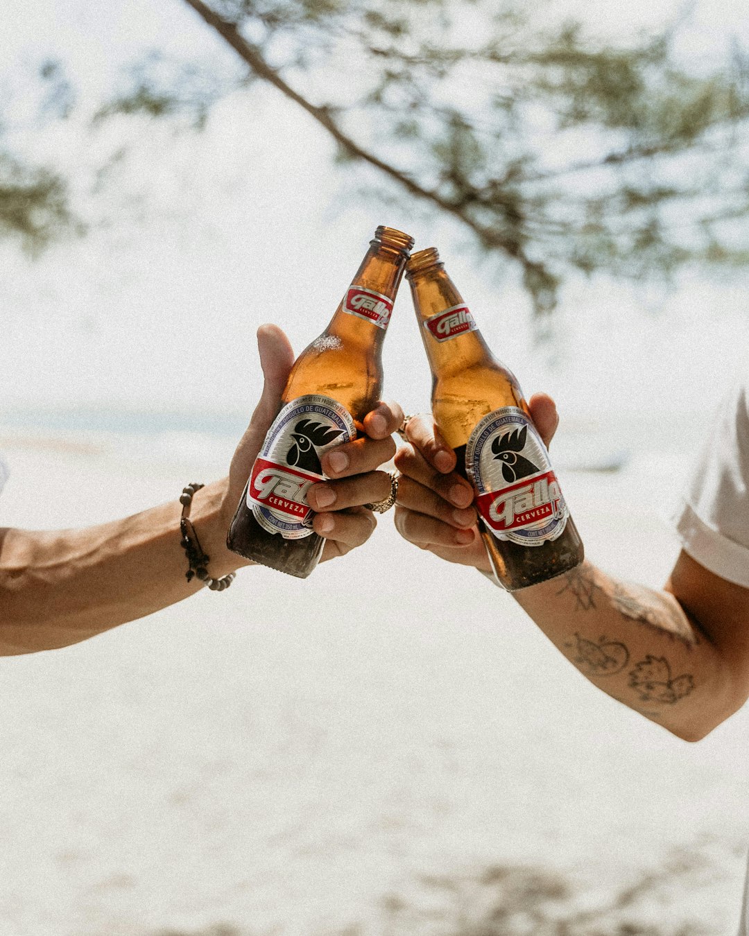 three person holding a beer bottles
