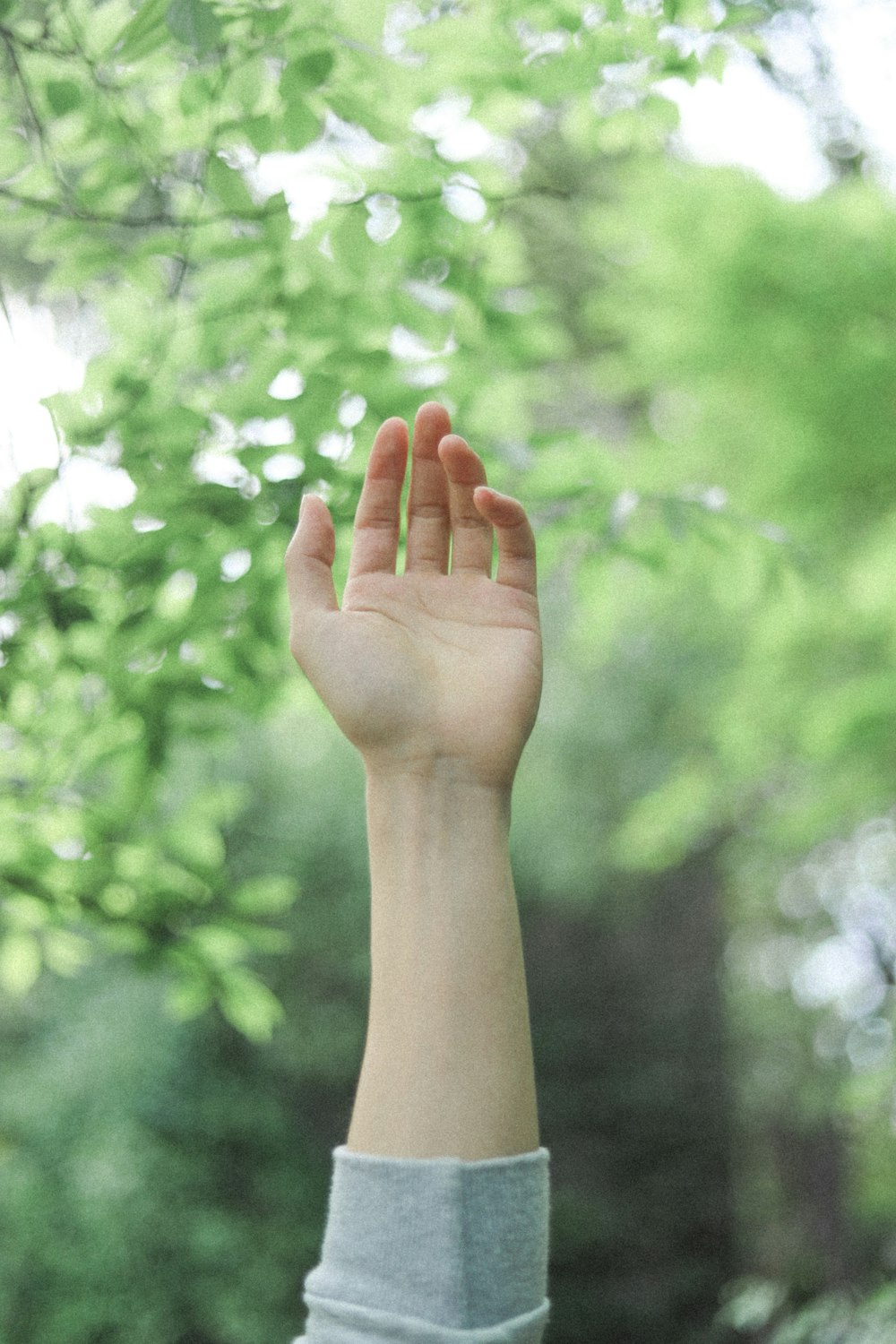 persons left hand with red manicure