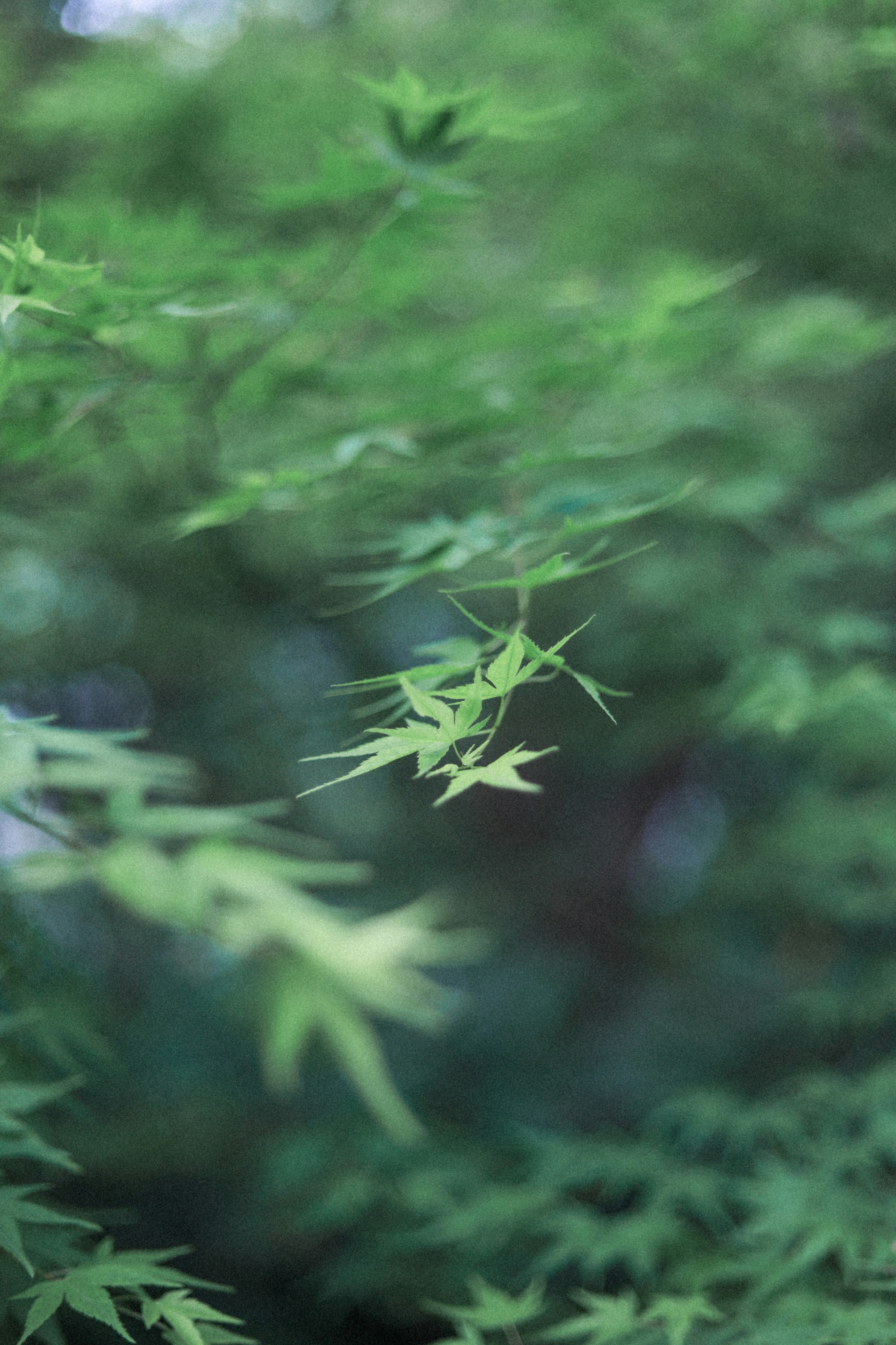 Photo by hduu1