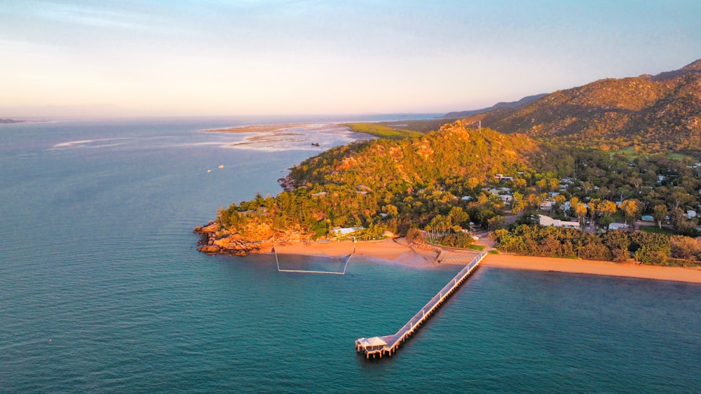 aerial view of green trees and body of water during daytime