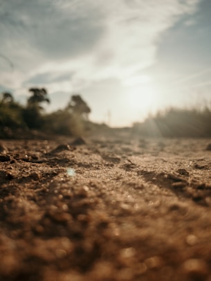 brown soil under white sky during daytime