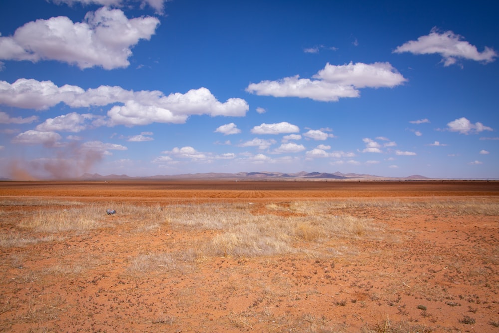 brown field under blue sky and white clouds during daytime