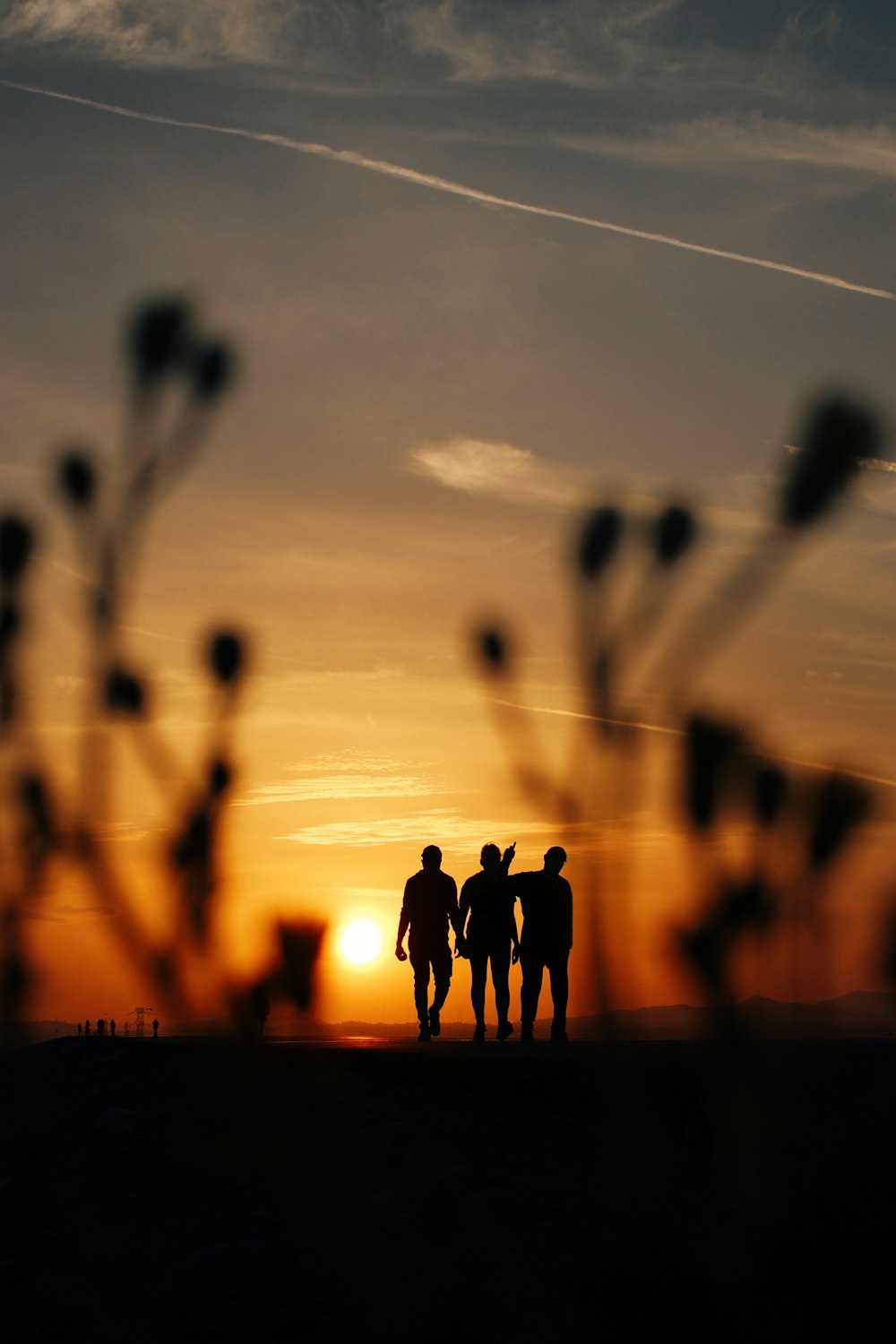 silhouette of people standing on seashore during sunset