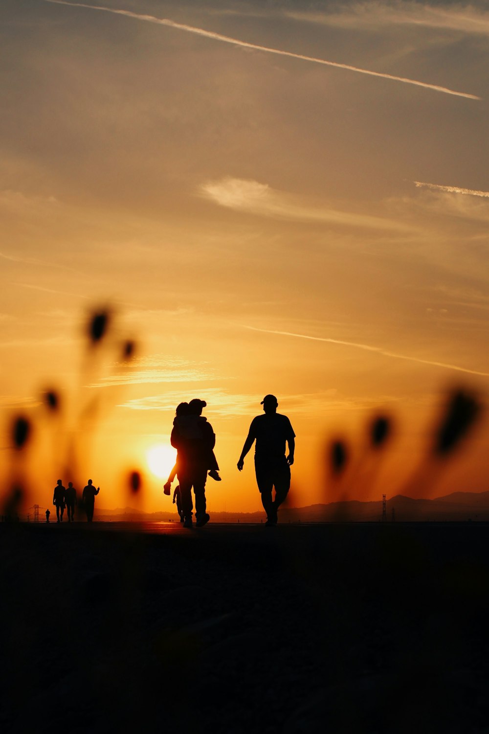 silhouette of people standing on field during sunset