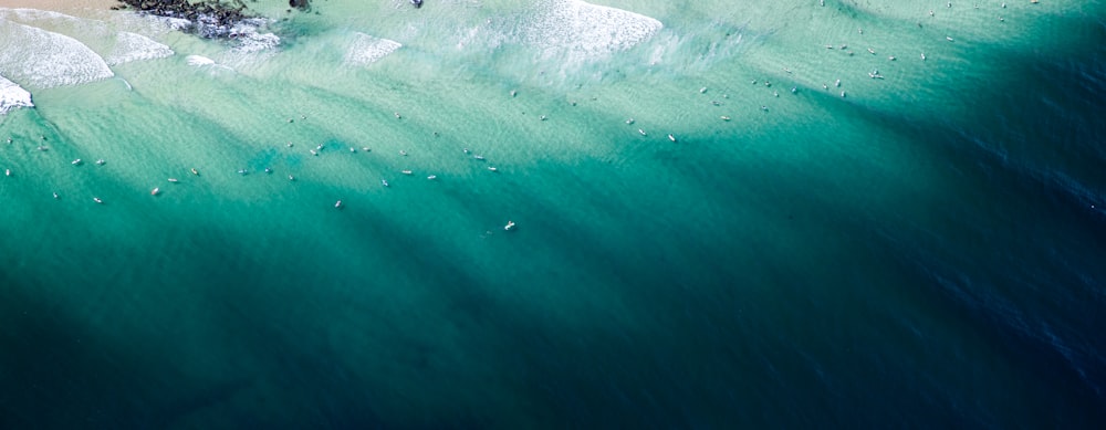 Onde verdi e bianche dell'oceano