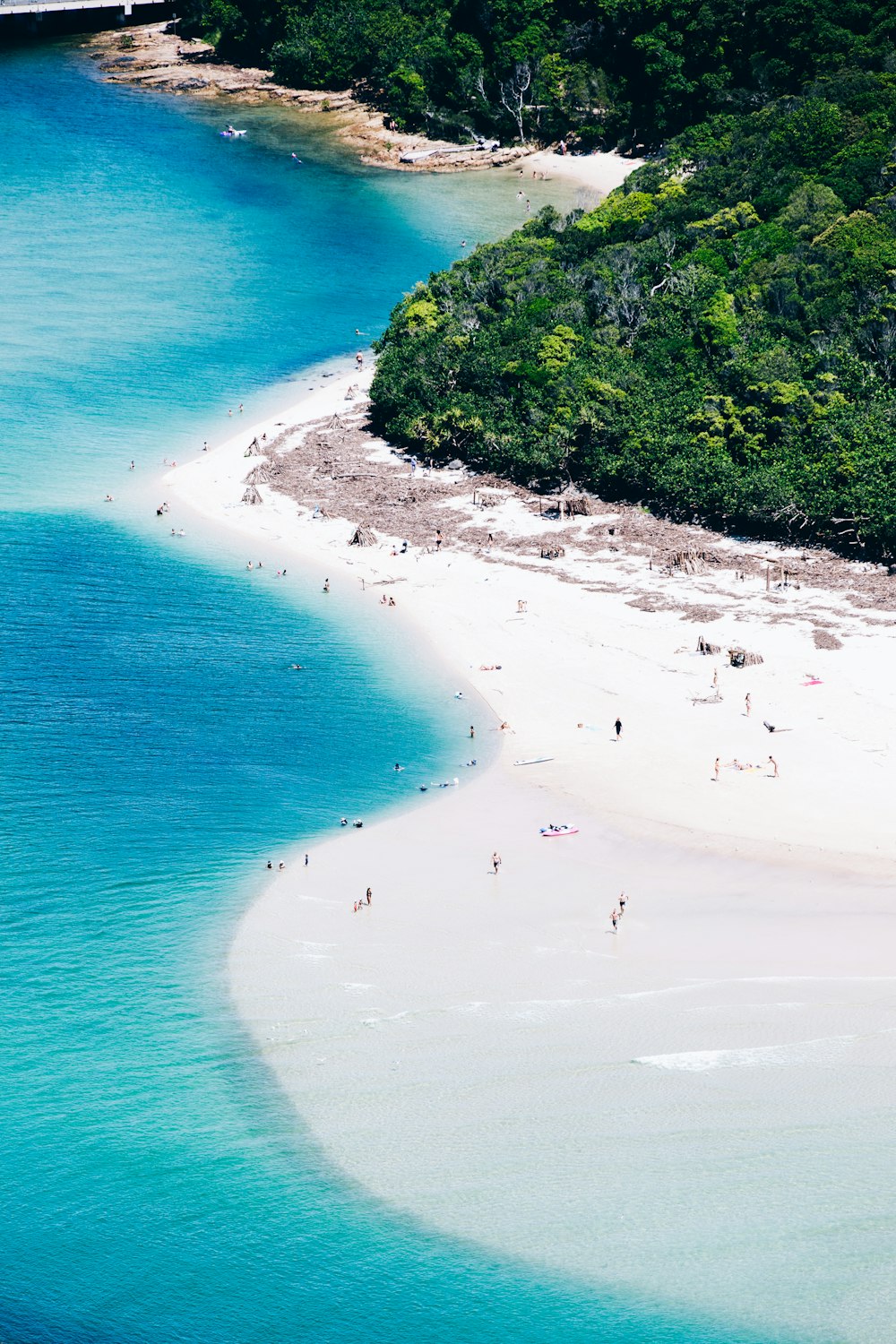 pessoas na praia durante o dia