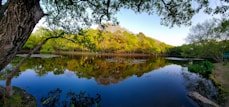 A serene landscape with a calm lake surrounded by trees.