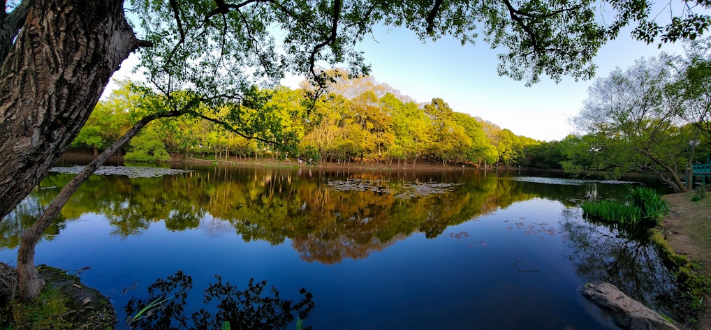A serene landscape of a tranquil lake surrounded by trees.