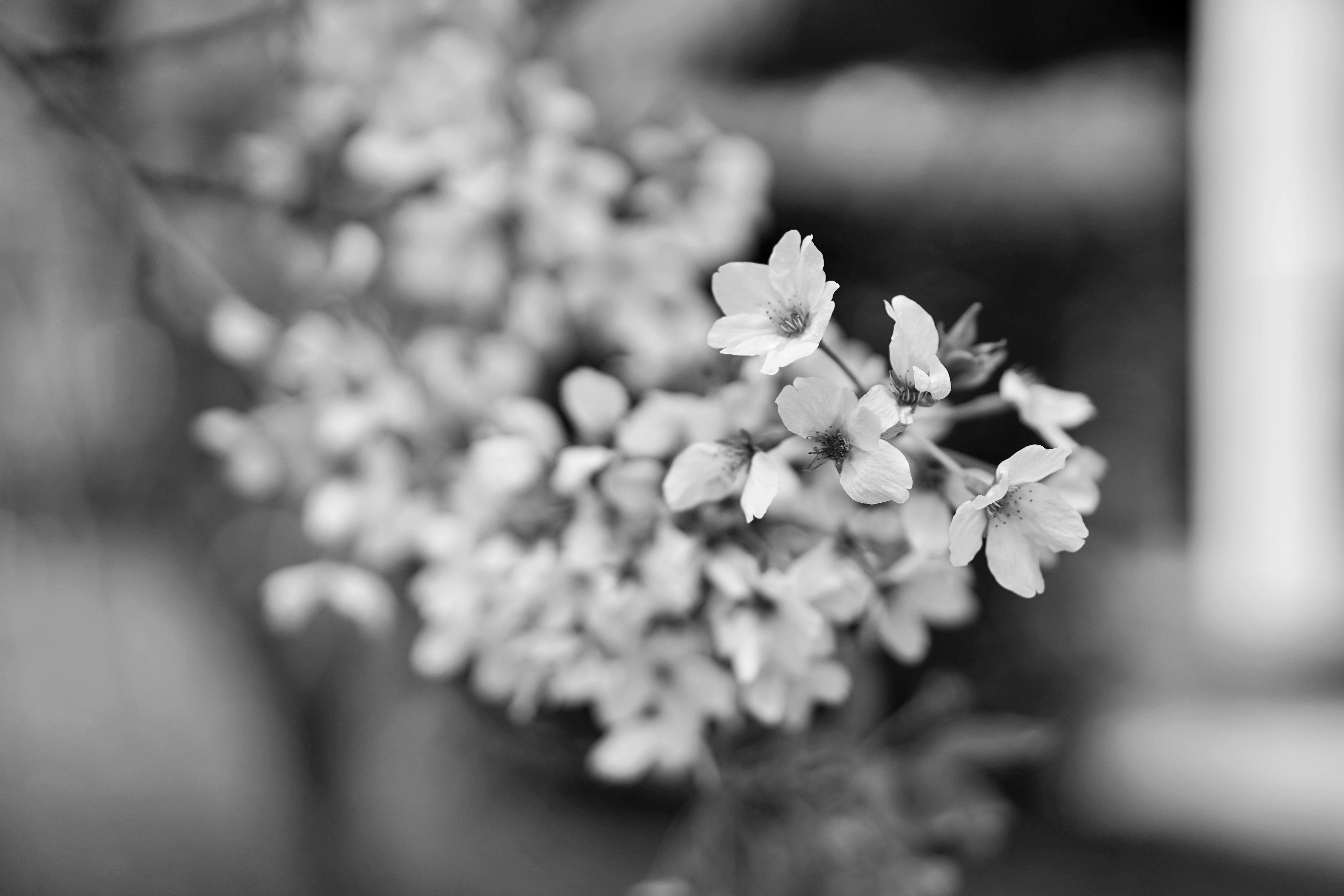 Photo by fredericksail