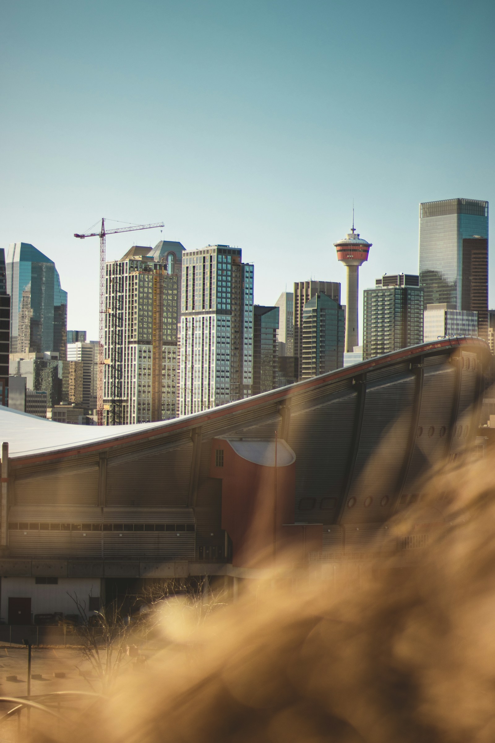 🏡 What’s the Best Neighborhood in NW Calgary? | Reece Hornby Real Estate