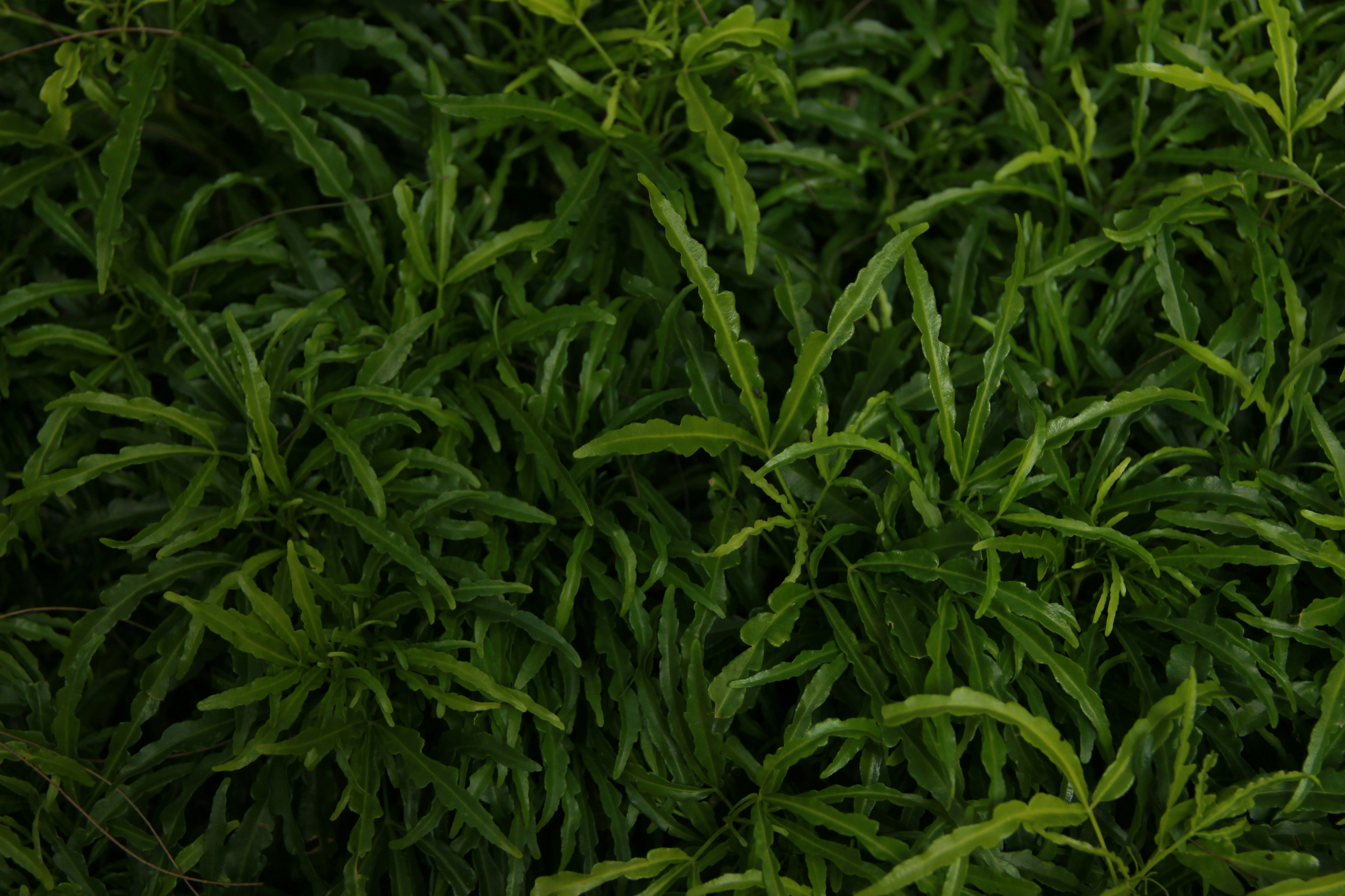 Photo by anoarul_azim