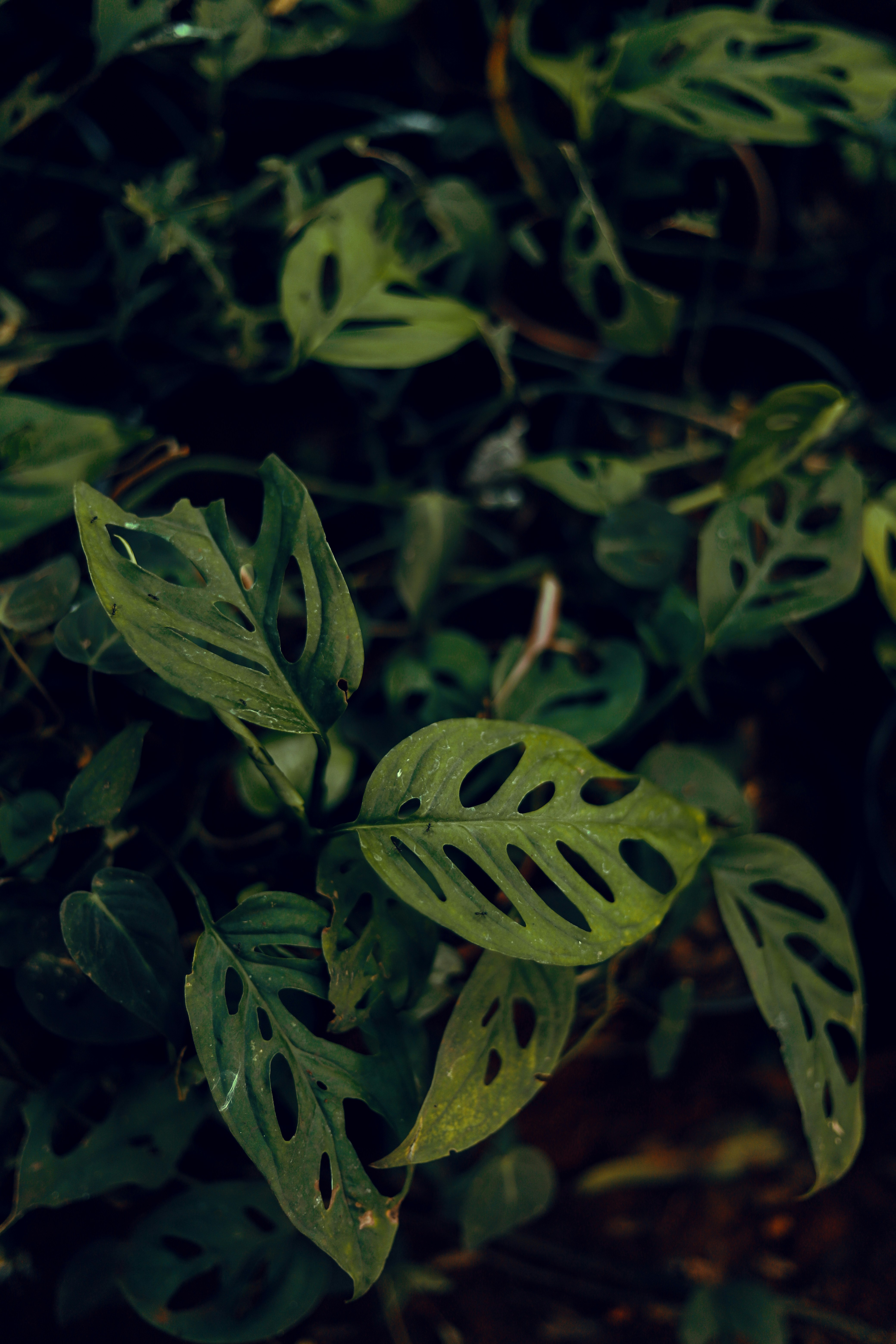 Photo by 2wenty6thstreet