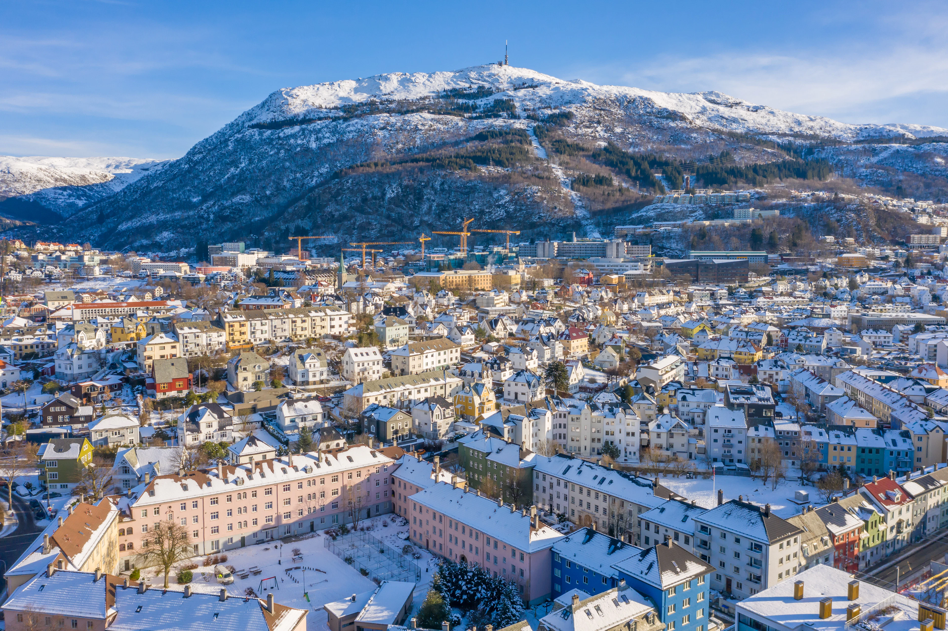 Fresh snow on the painted timber houses of Bergen's Årstad quarter, street after street of pink, blue, yellow and white gables packed below the white flank of Mount Ulriken and its summit mast.