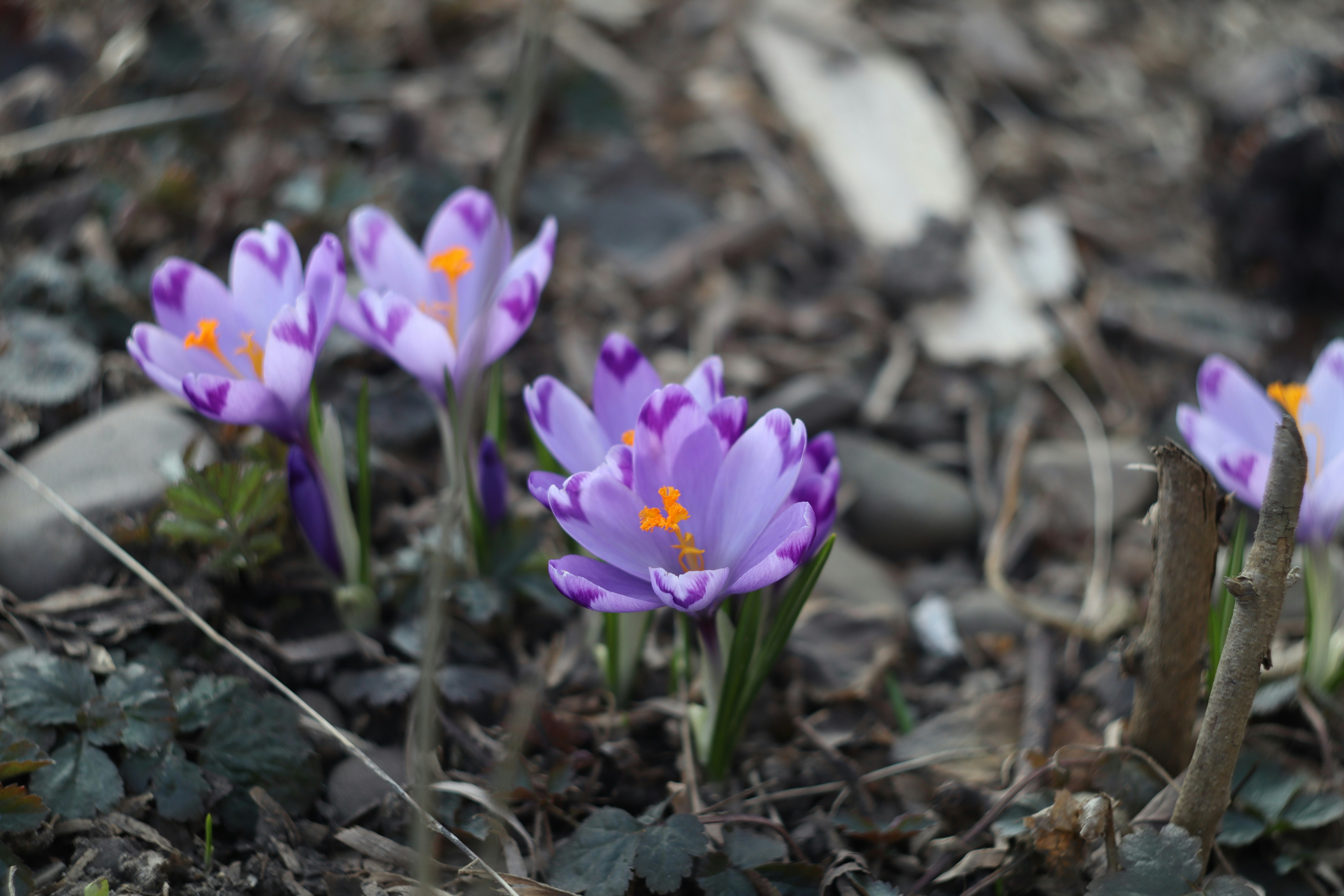 Photo by feeling_hope