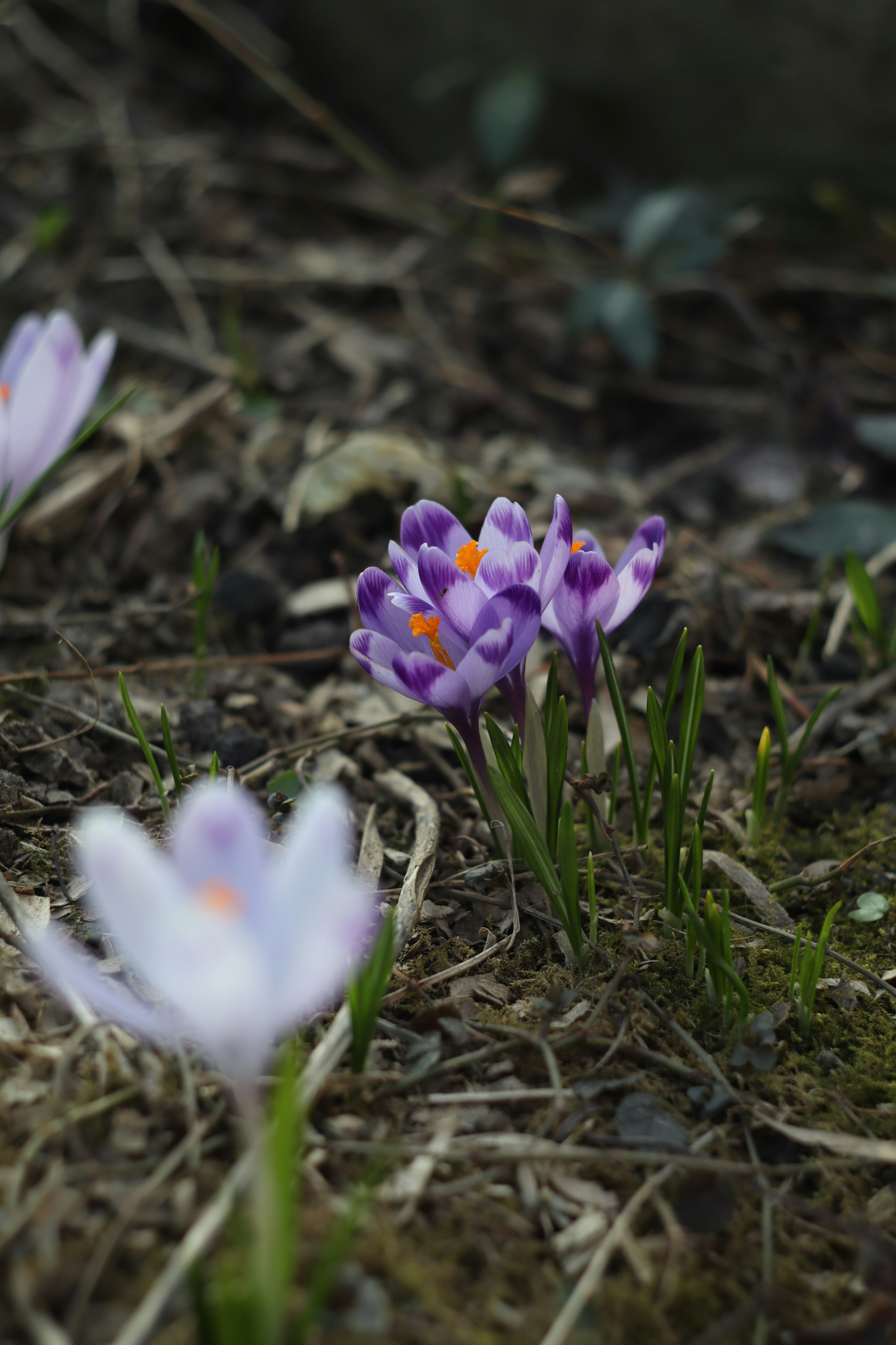 Photo by feeling_hope