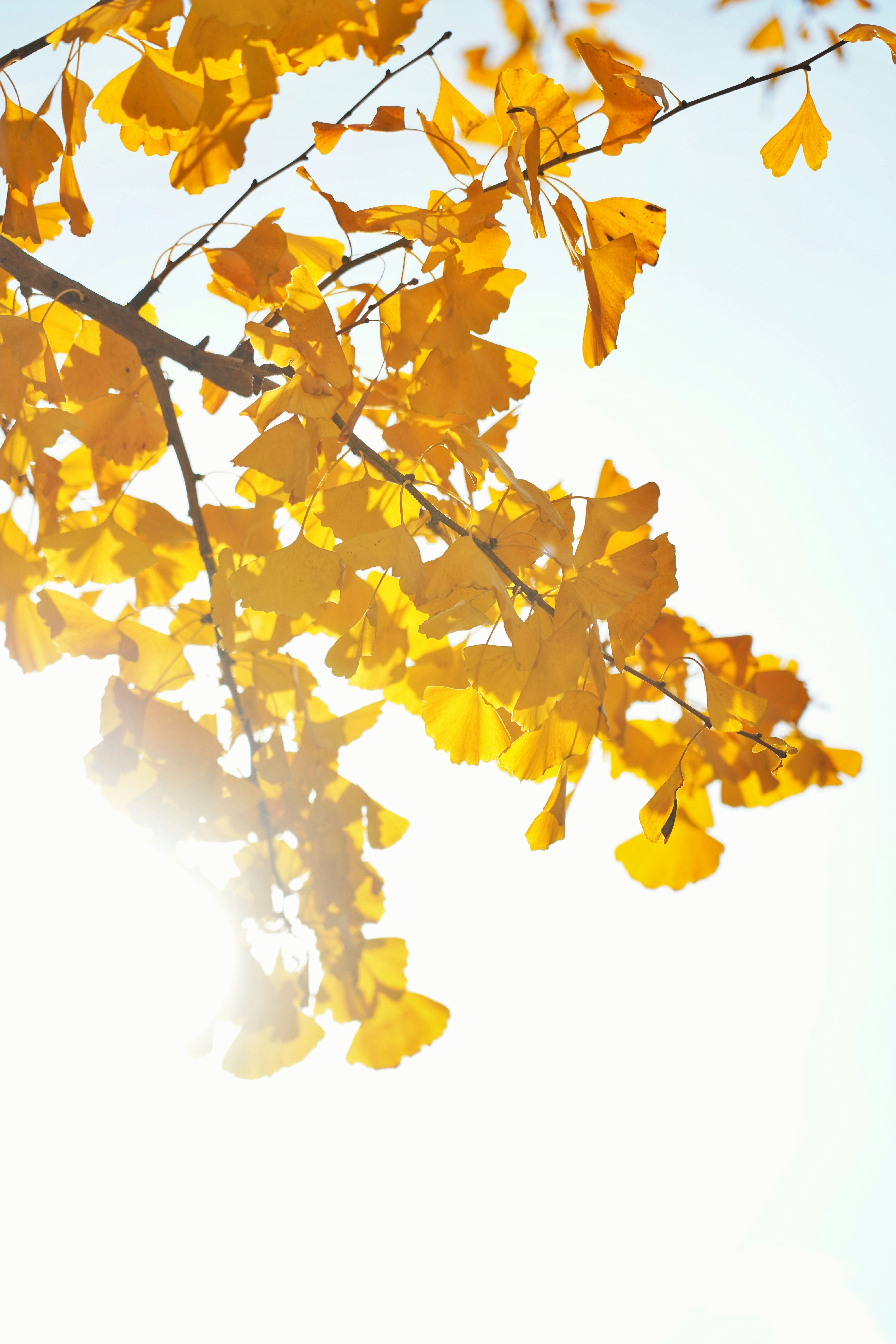 Photo by fredericksail