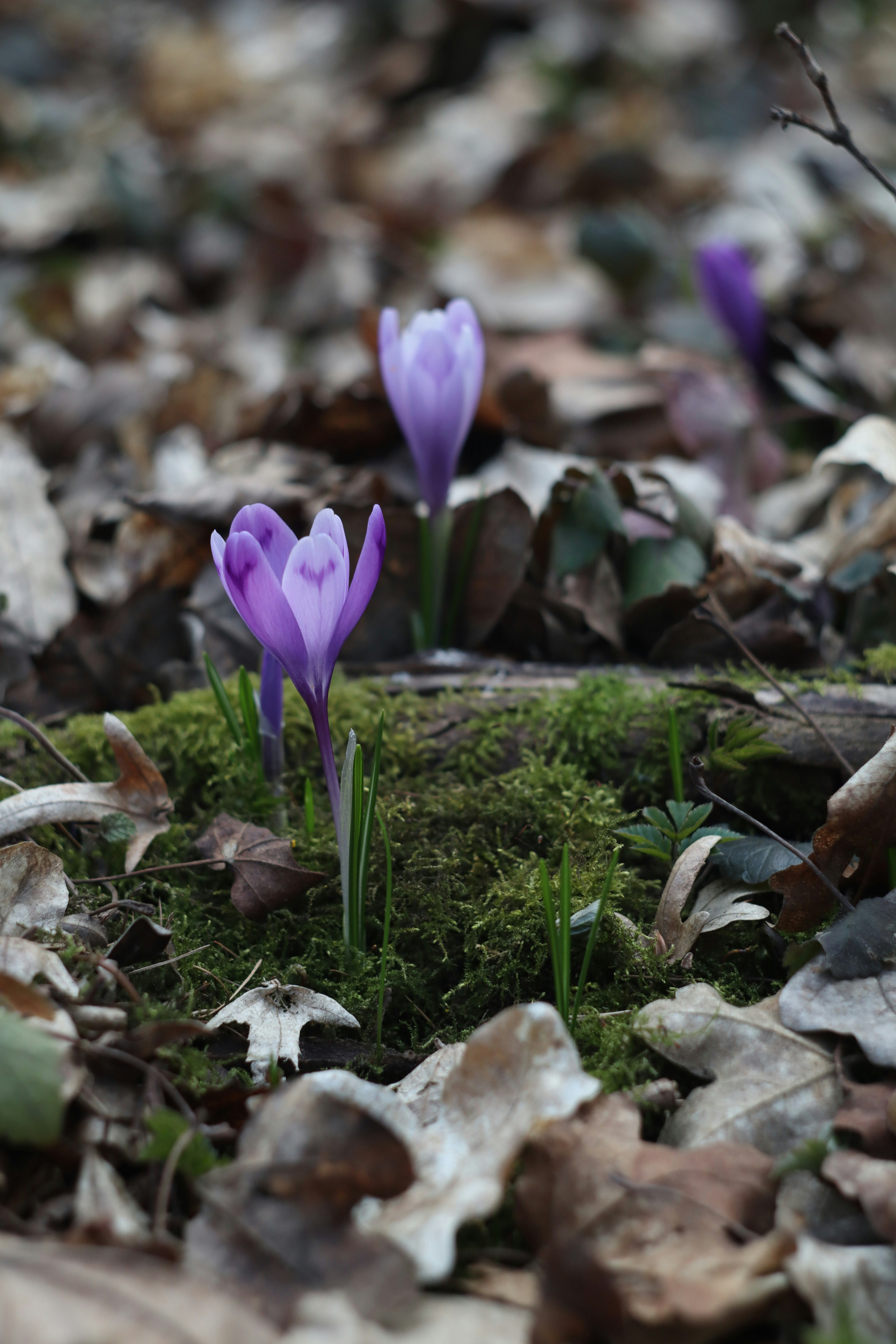 Photo by feeling_hope