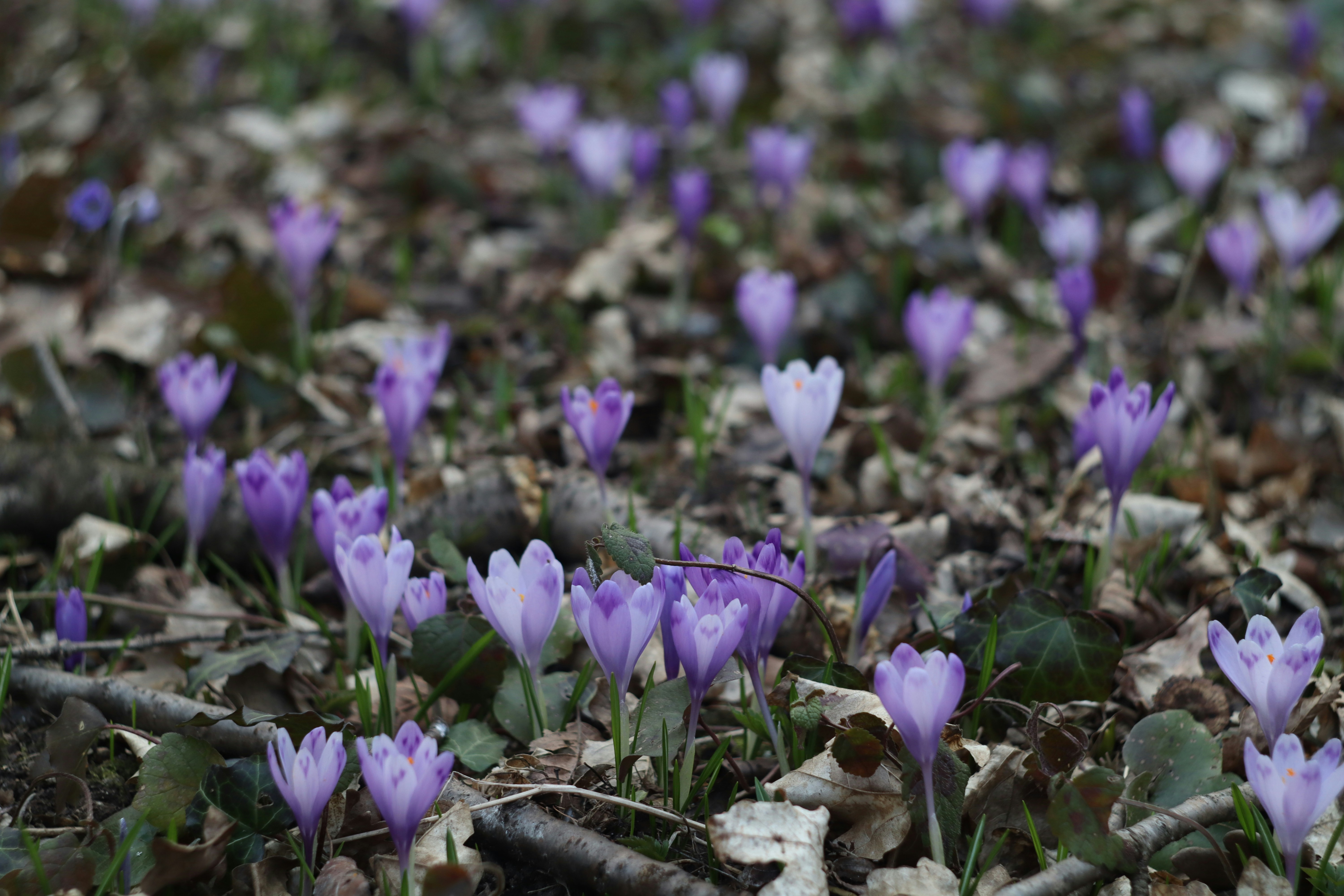 Photo by feeling_hope