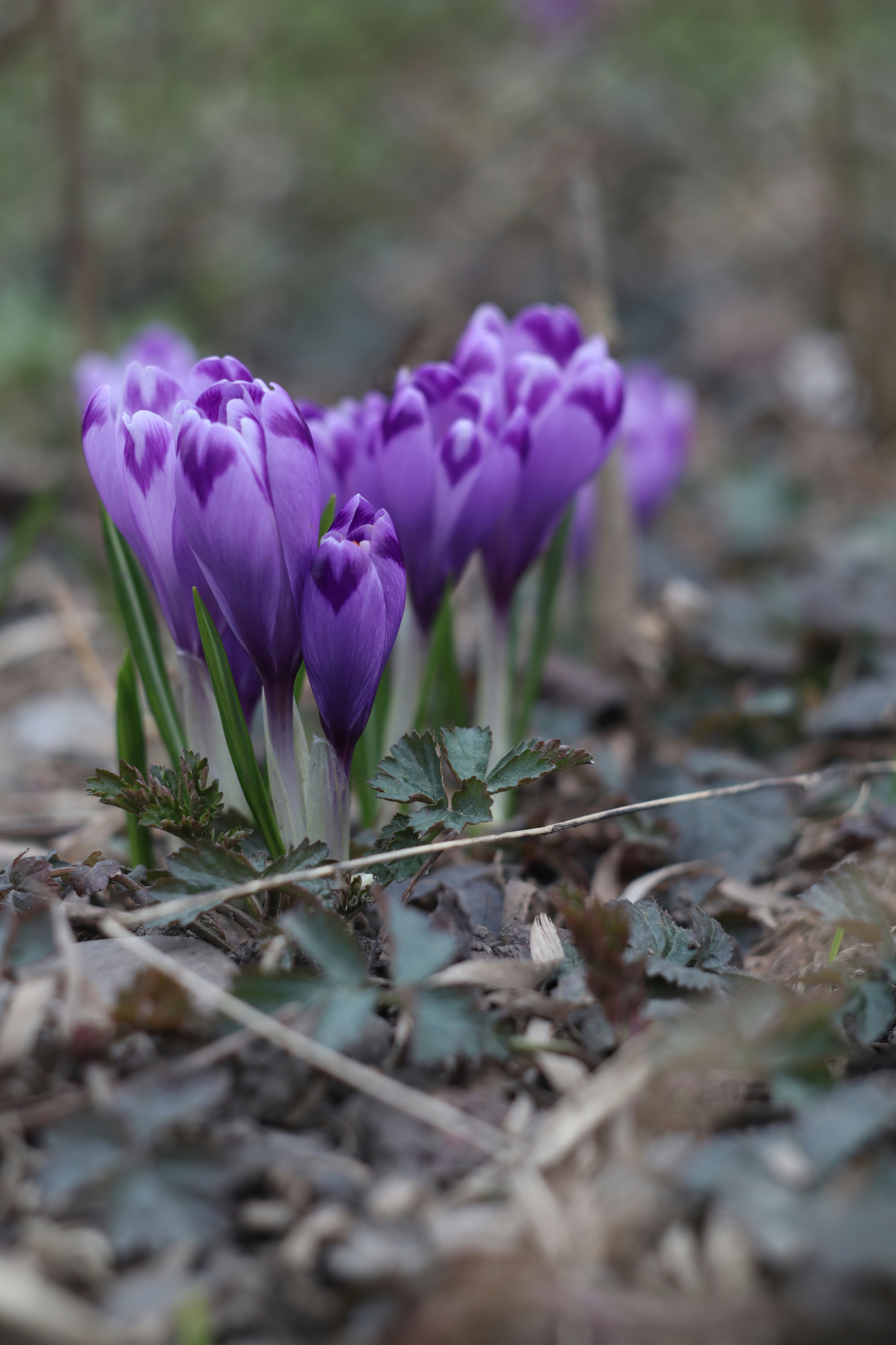 Photo by feeling_hope