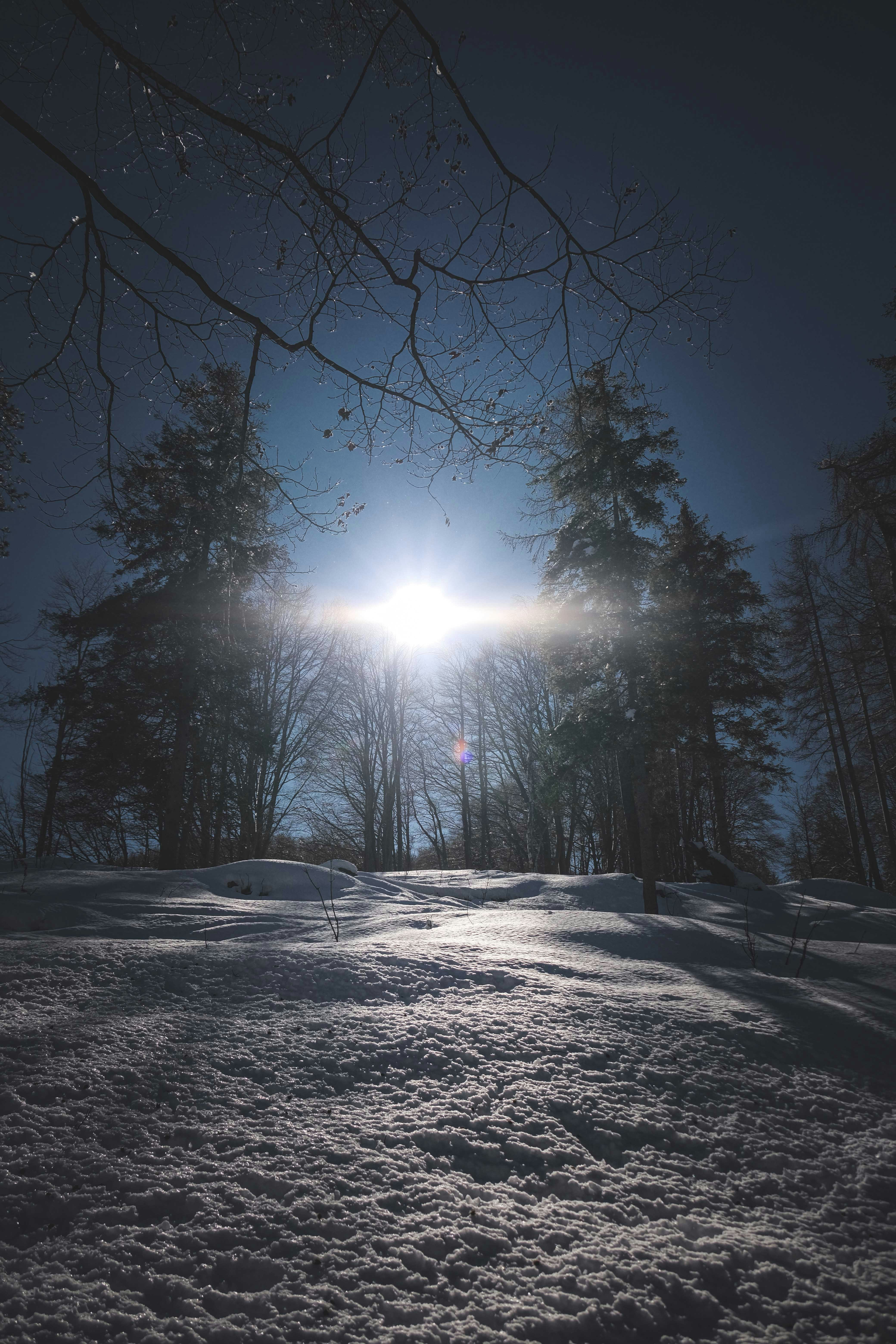 Photo by francesco_ungaro