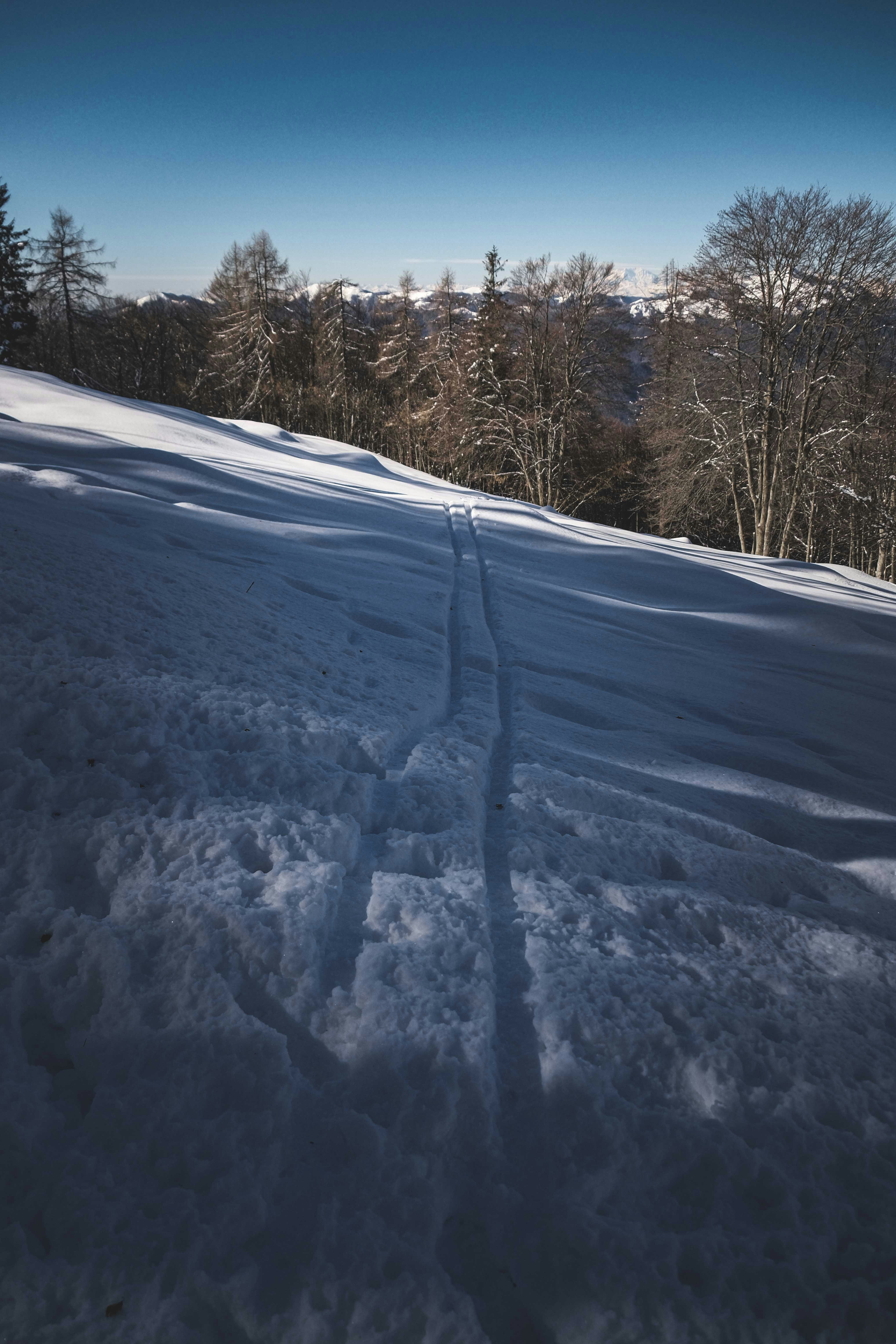 Photo by francesco_ungaro