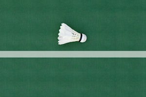 【2026年最新】試合・大会向け水鳥シャトルおすすめ4選｜選び方を徹底解説