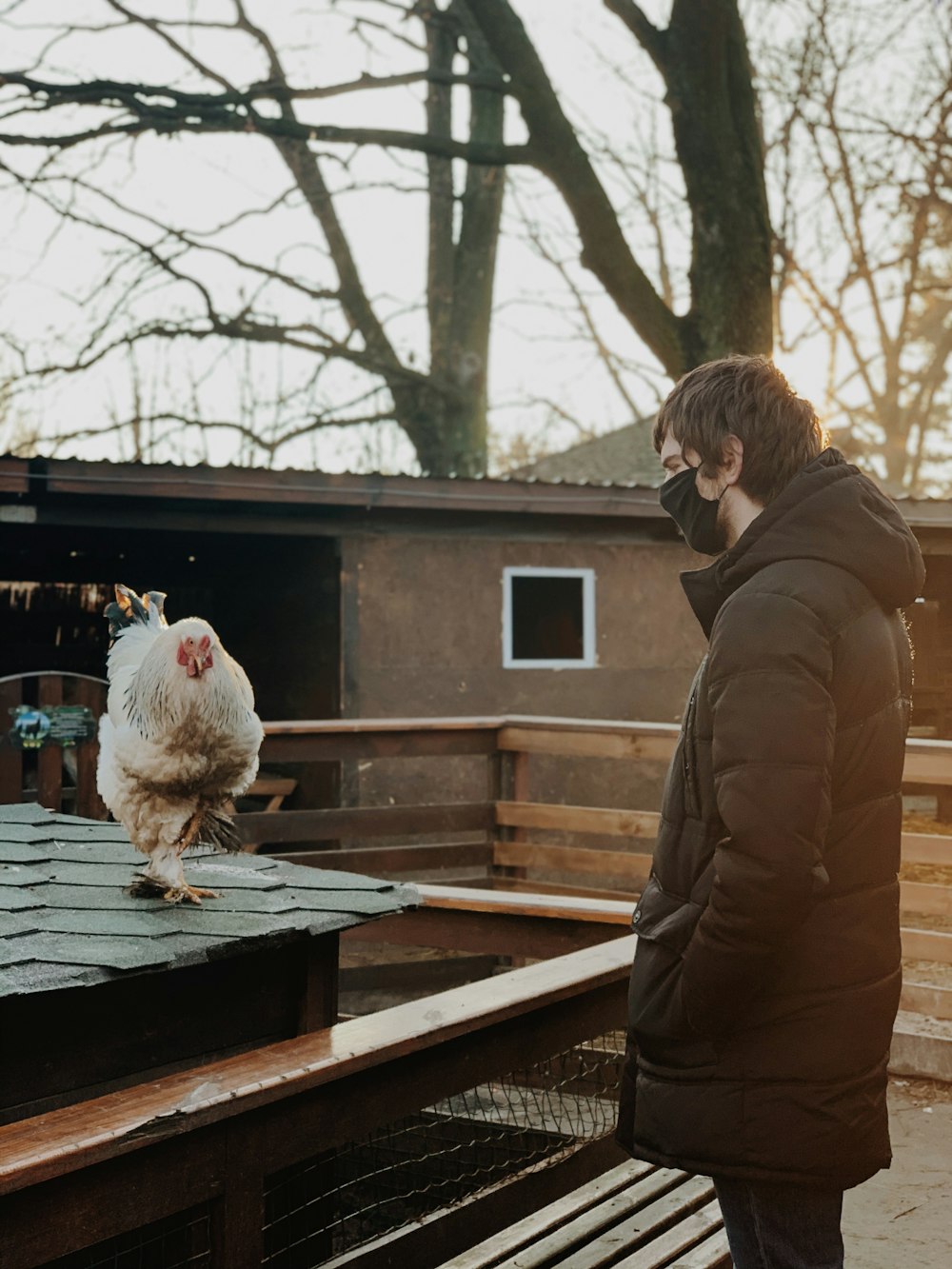 woman in brown coat standing beside white sheep on brown wooden dock during daytime