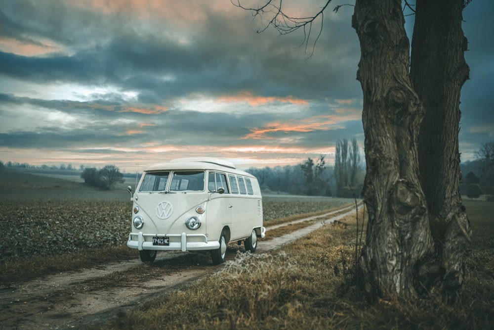 Weißer Volkswagen T-2 parkt tagsüber neben kahlem Baum unter bewölktem Himmel